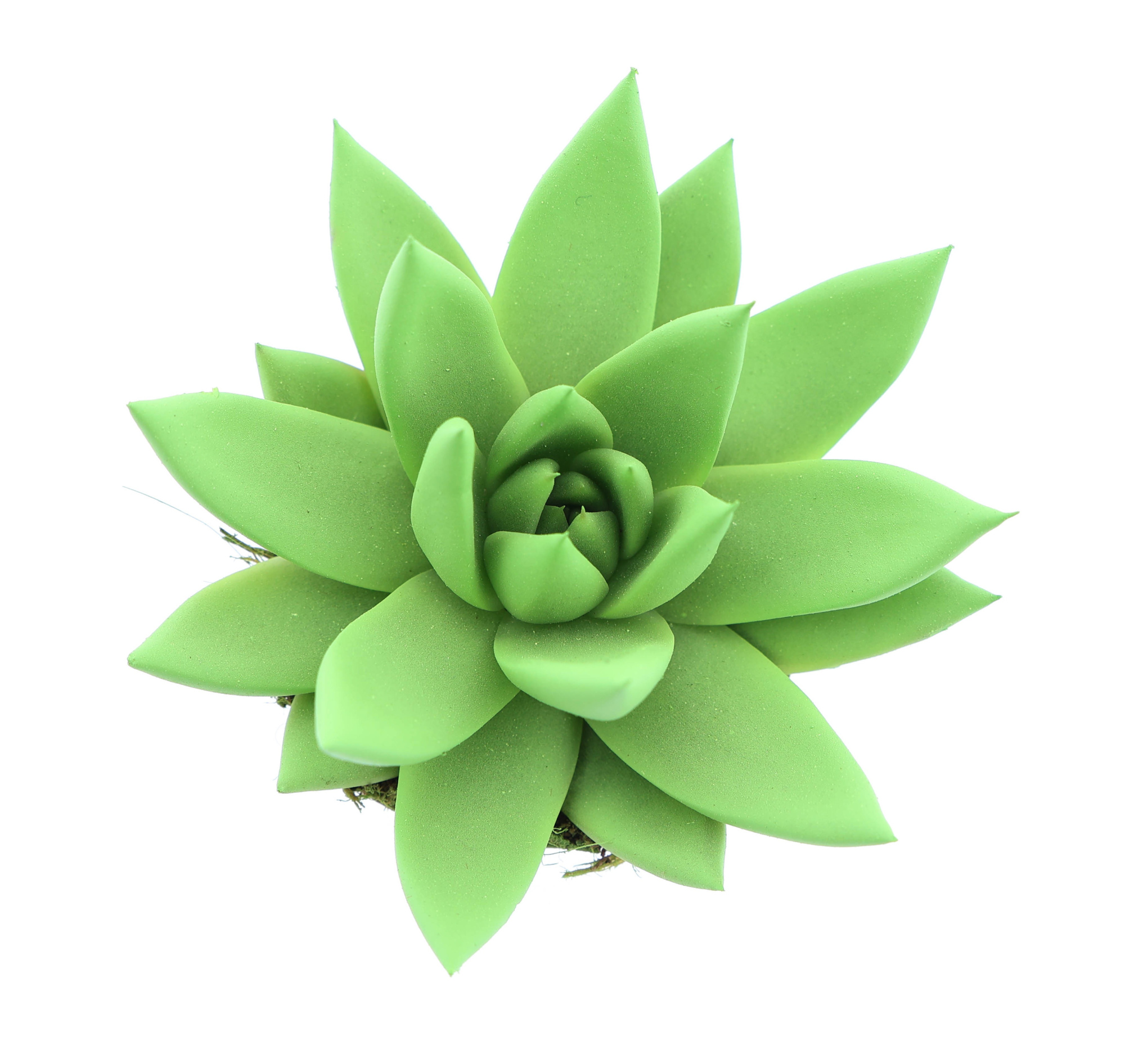 Rainbow bright green, D 6