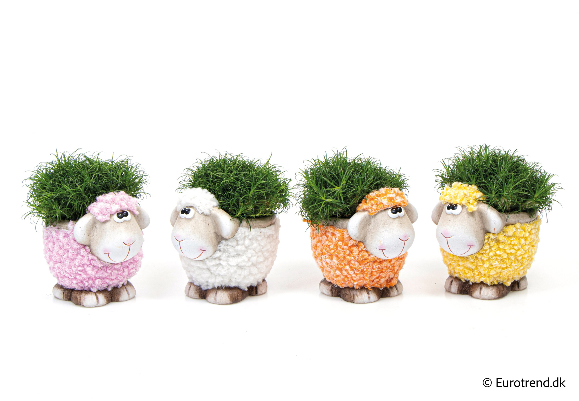 Sagina in Easter ceramic 2026, D 6