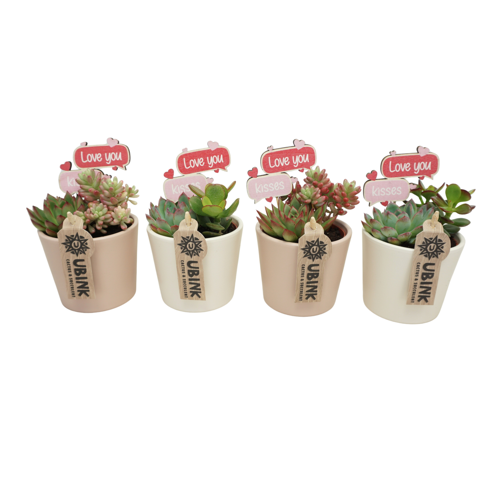 Succulent beplant in 9 cm 'Pastel Potje' met Love you steker, D 10