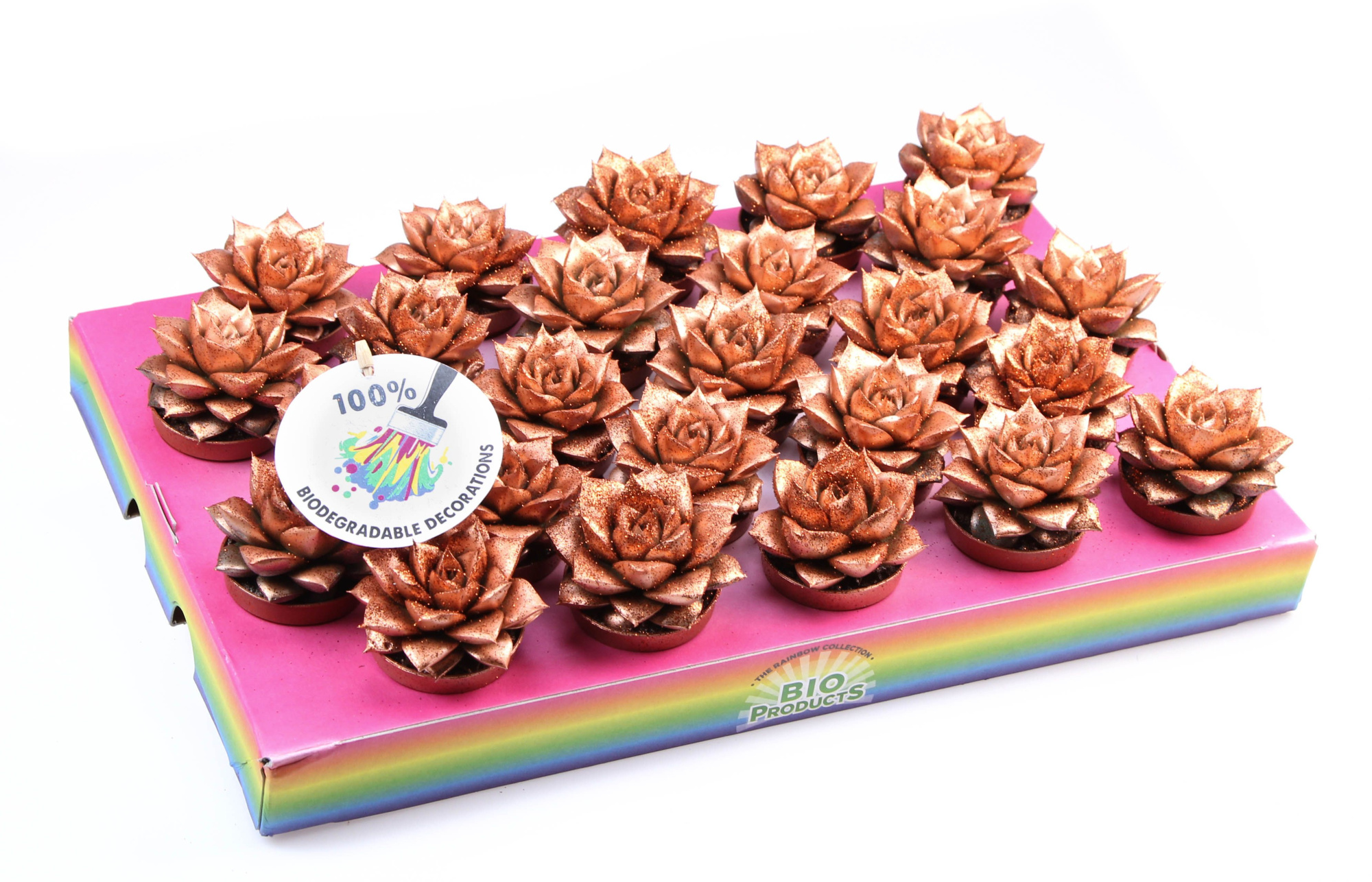 Bio purper bronze glitter, D 5,5