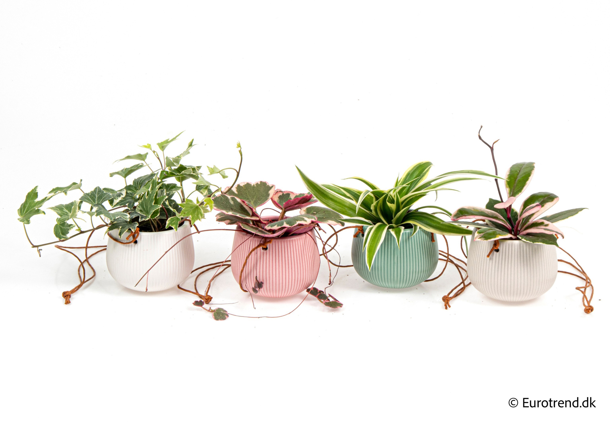 Green mix in New Look ceramic 2026, D 6