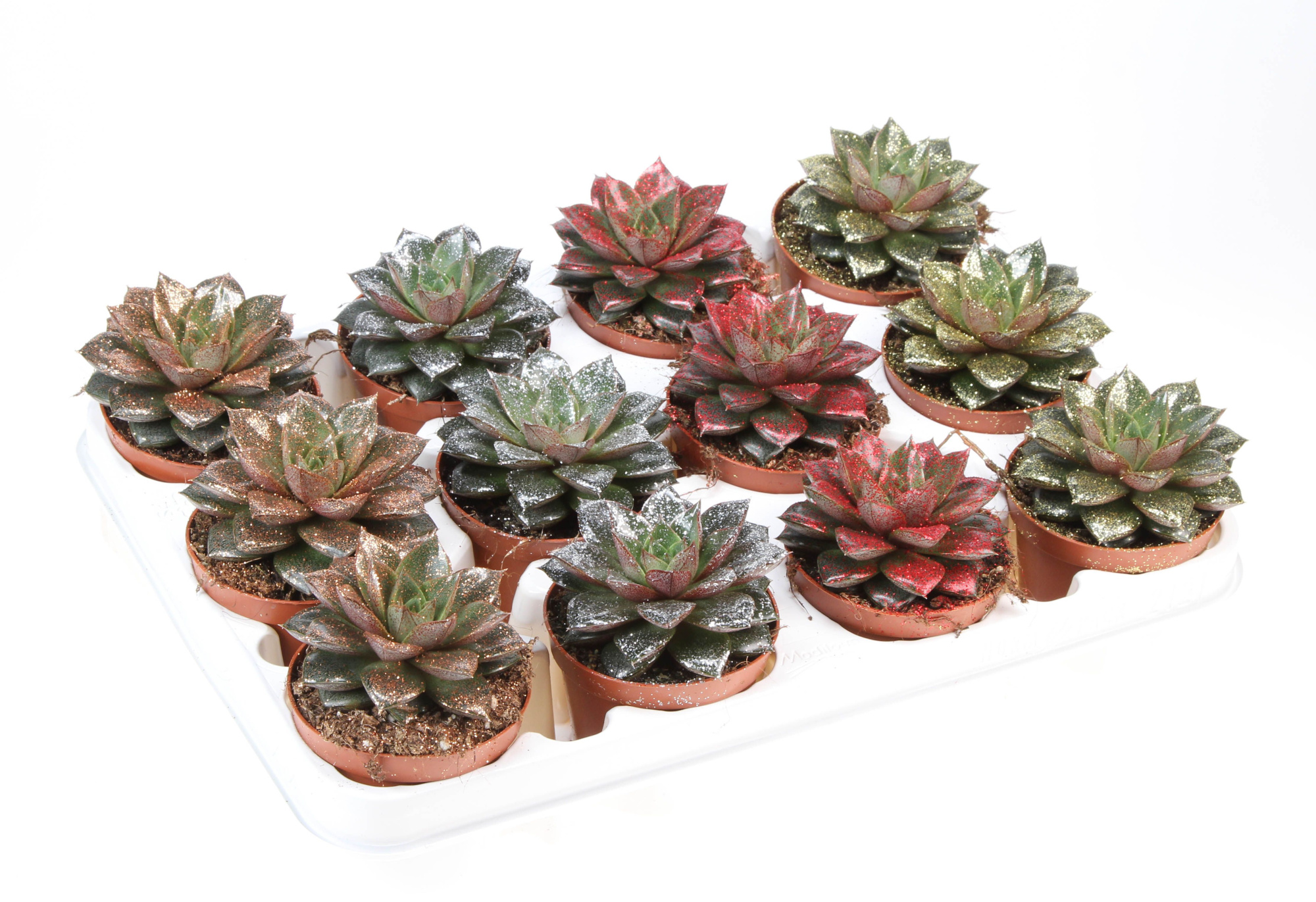 Bio purper naturel glitter mix, D 8,5