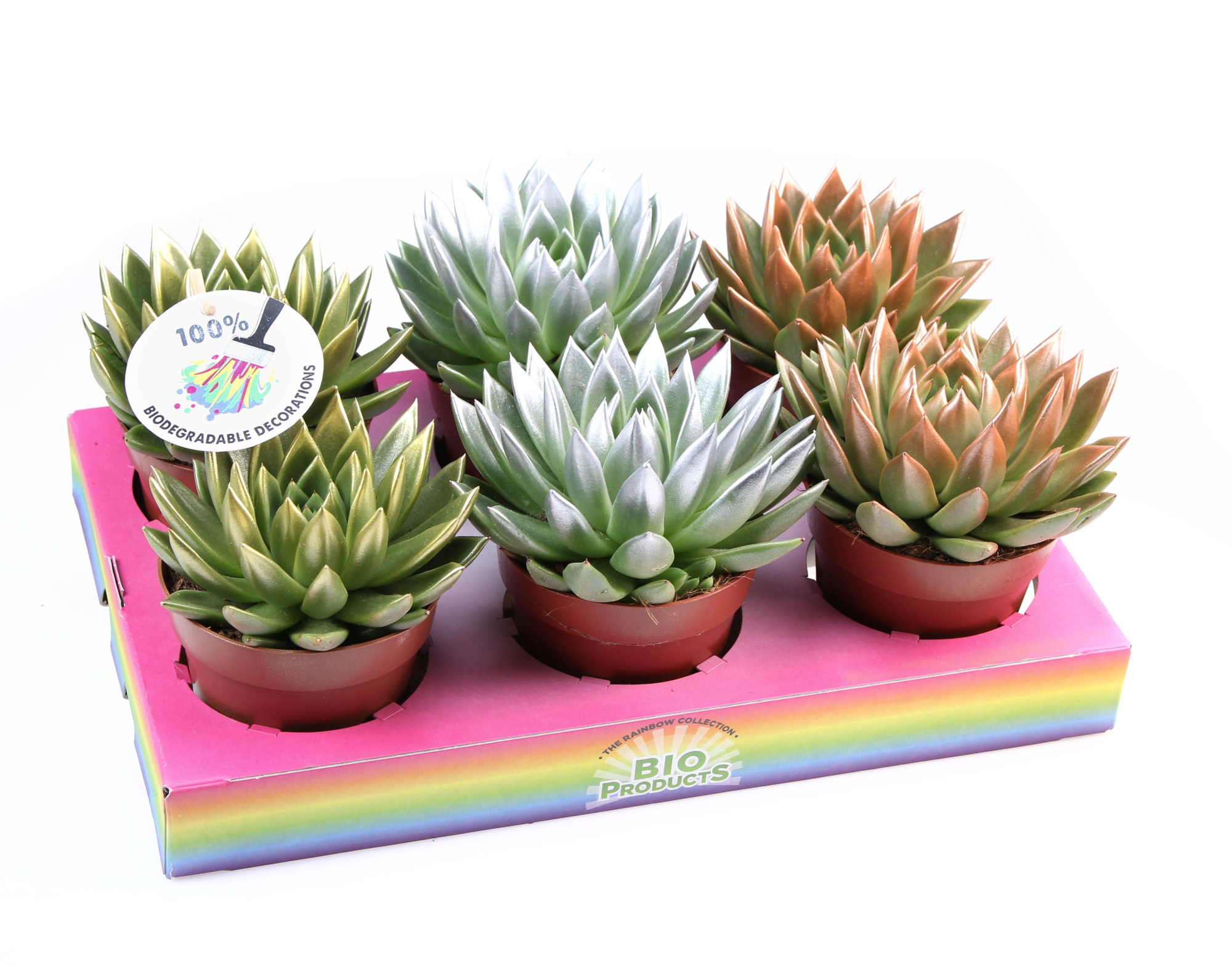 Miranda kerstmix tips, D 12