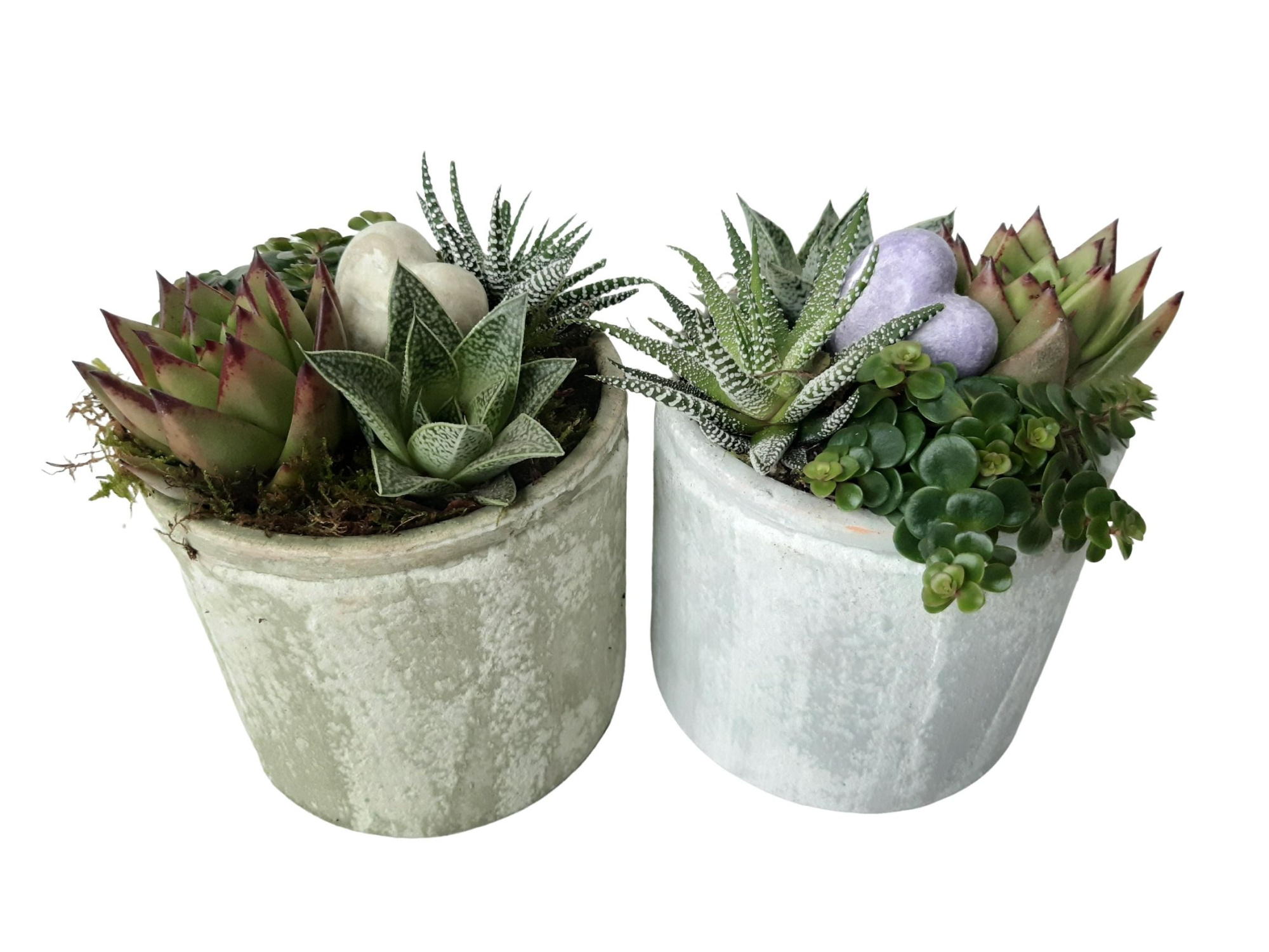 PP14GMXHRT Planter Pot Keramiek 14cm mini plant mix Aroma Heart, D 14