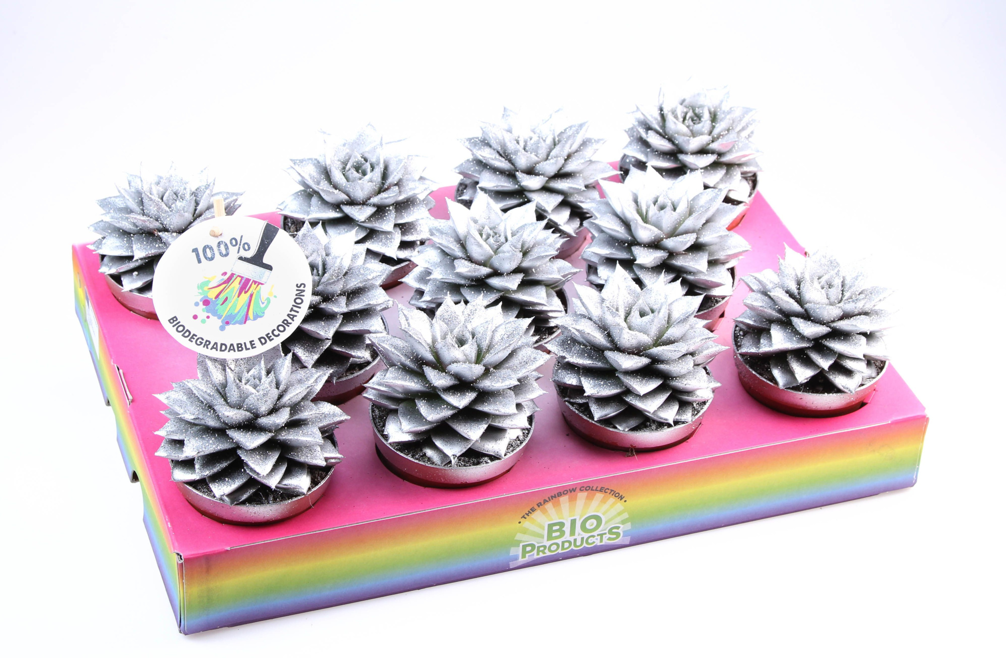 Bio purper silver glitter, D 8,5