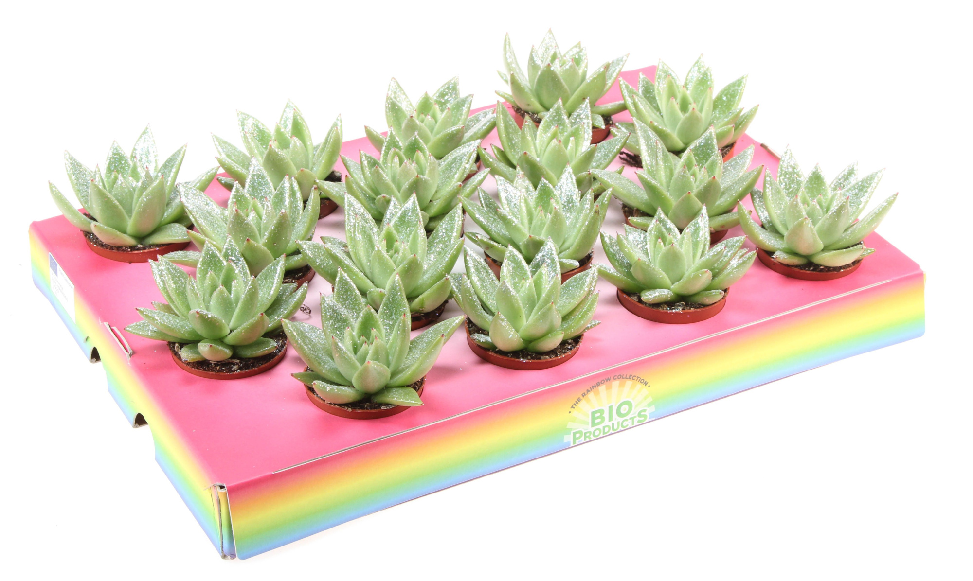 Bio miranda naturel glitter, D 6