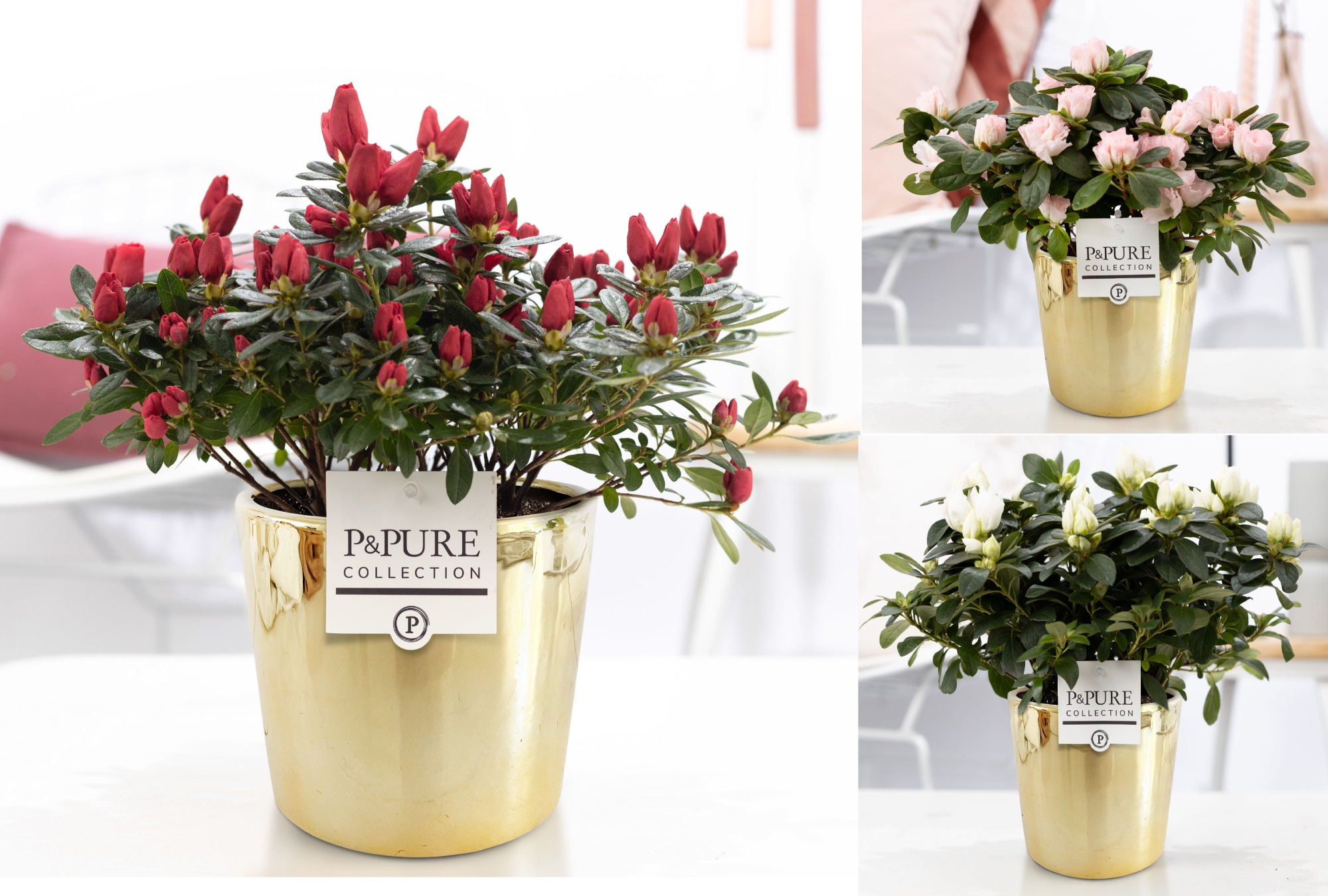 Azalea P&PURE Collection Laryssa keramiek, D 12