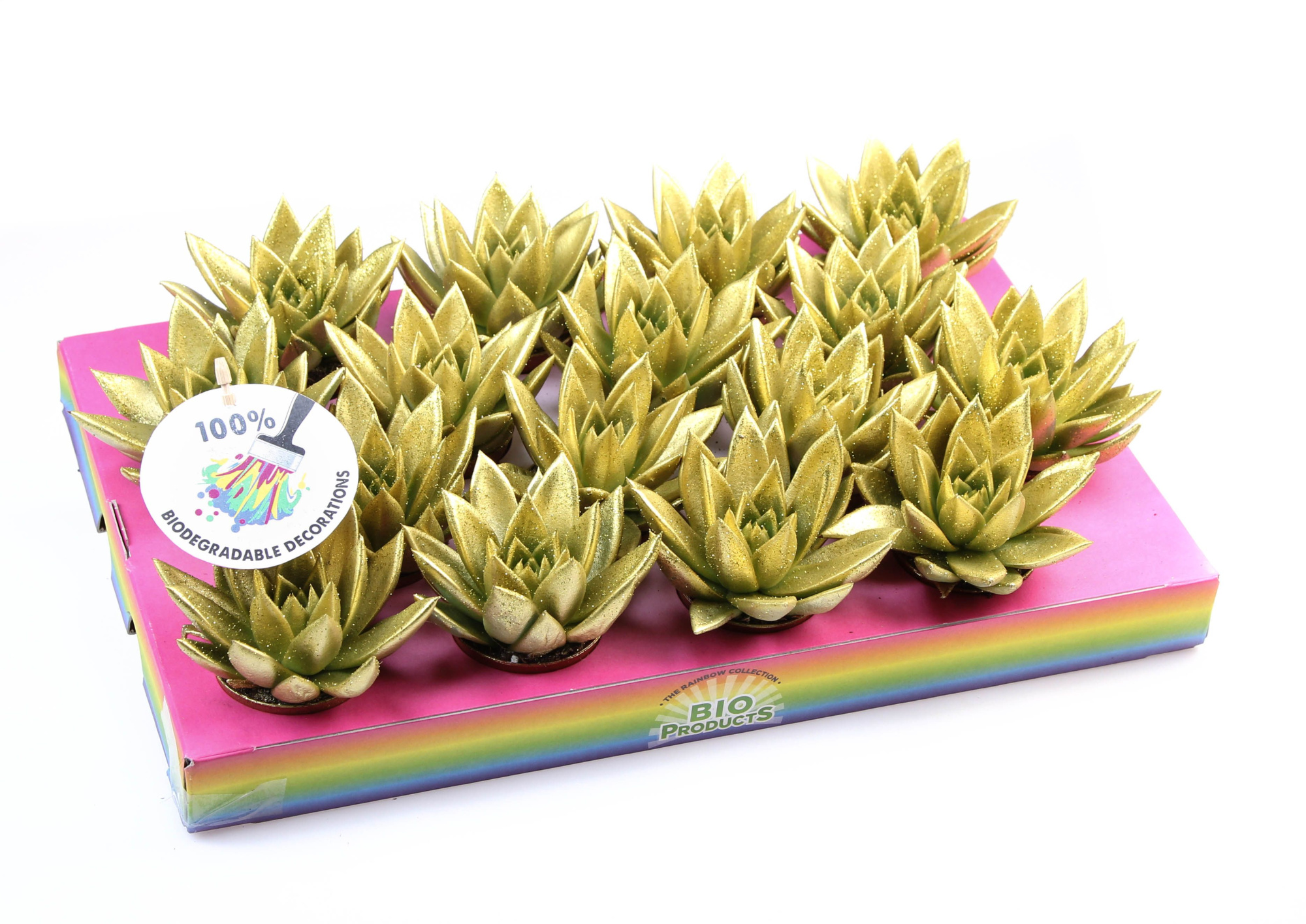 Bio miranda gold glitter, D 6