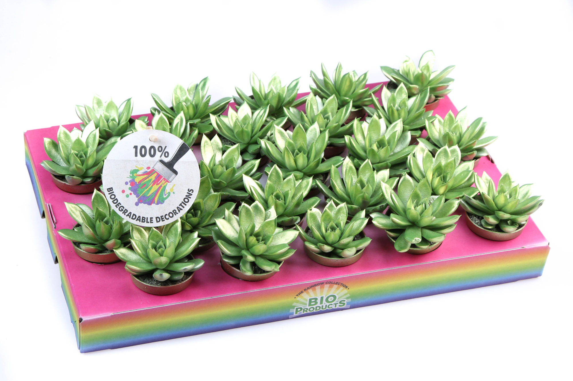 Rainbow Metallic green, D 5,5