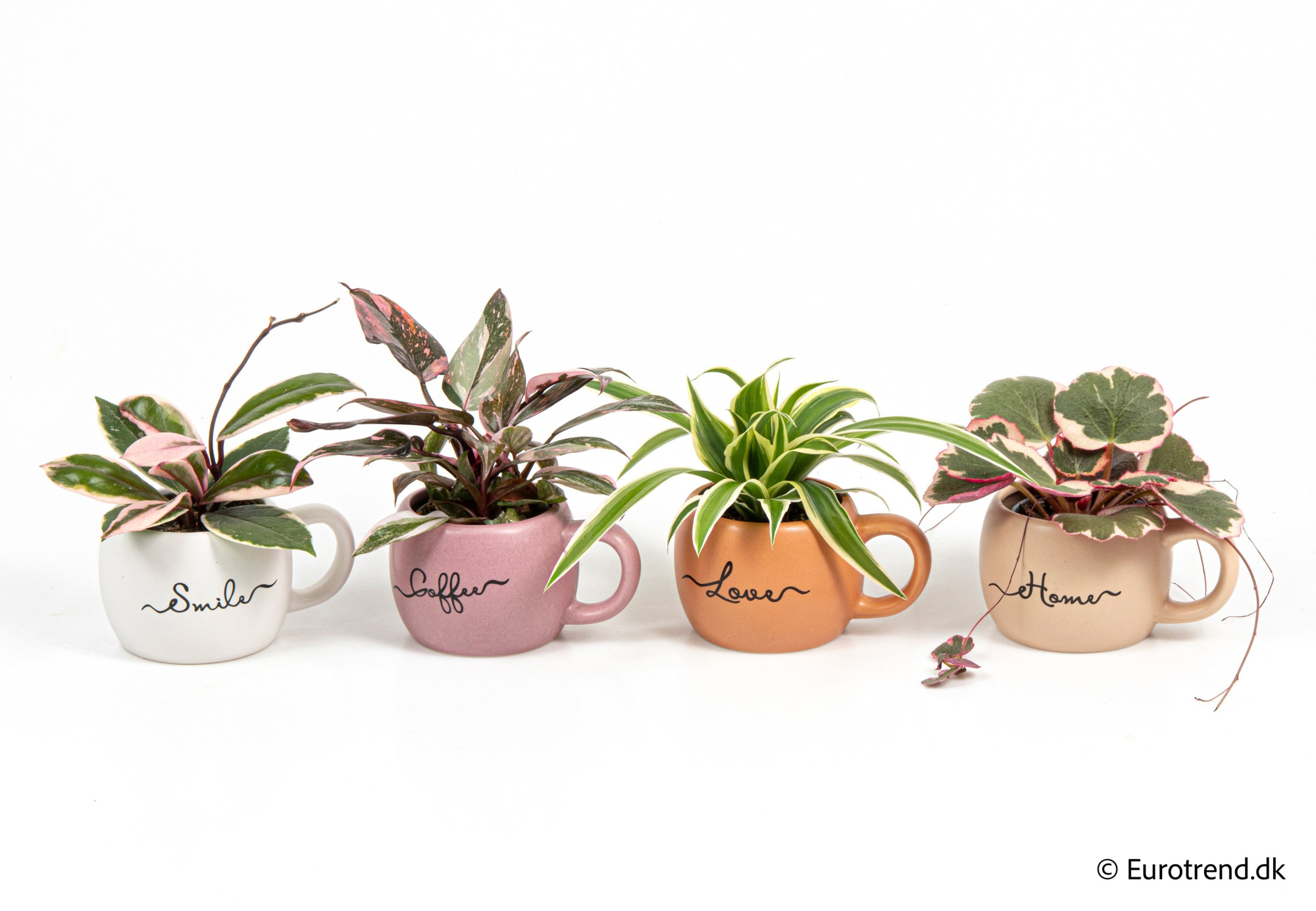 Green mix in New Look ceramic 2026, D 6