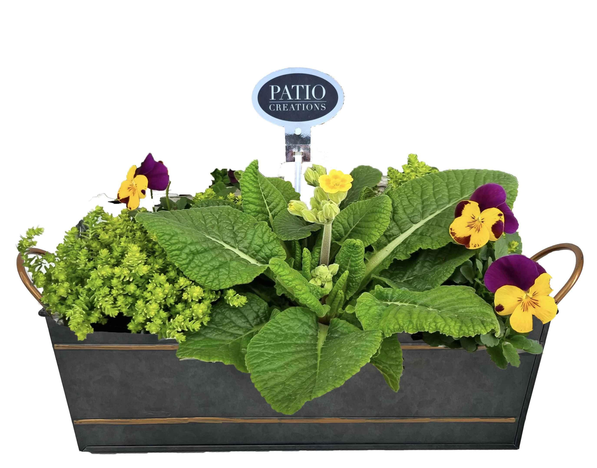 VM838-9003 Voorjaarsmix Sterre zink M, D 28