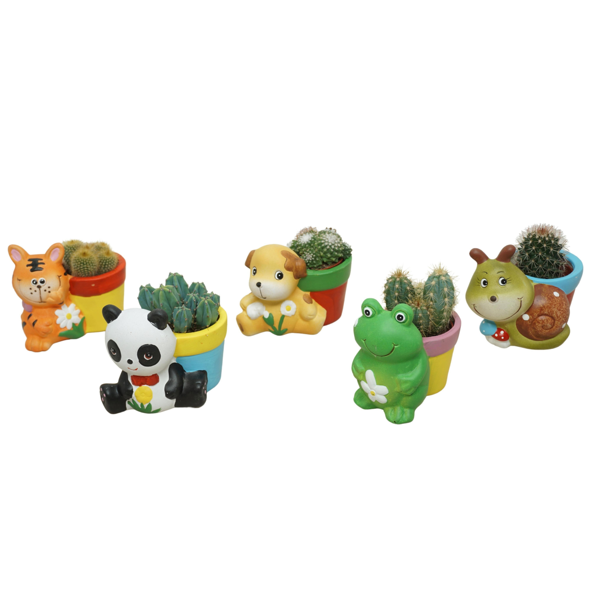 Cactus mix 5,5 cm in planter dierfiguren, D 5,5
