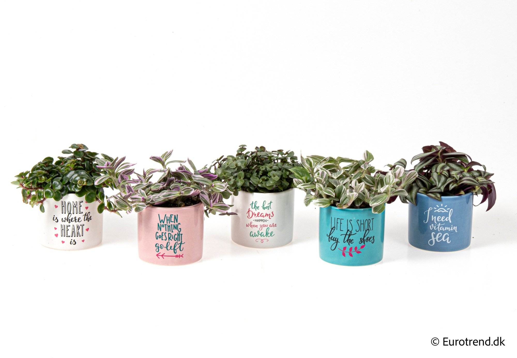 Green mix in ceramic- Spring, Summer & Autumn 2025, D 6