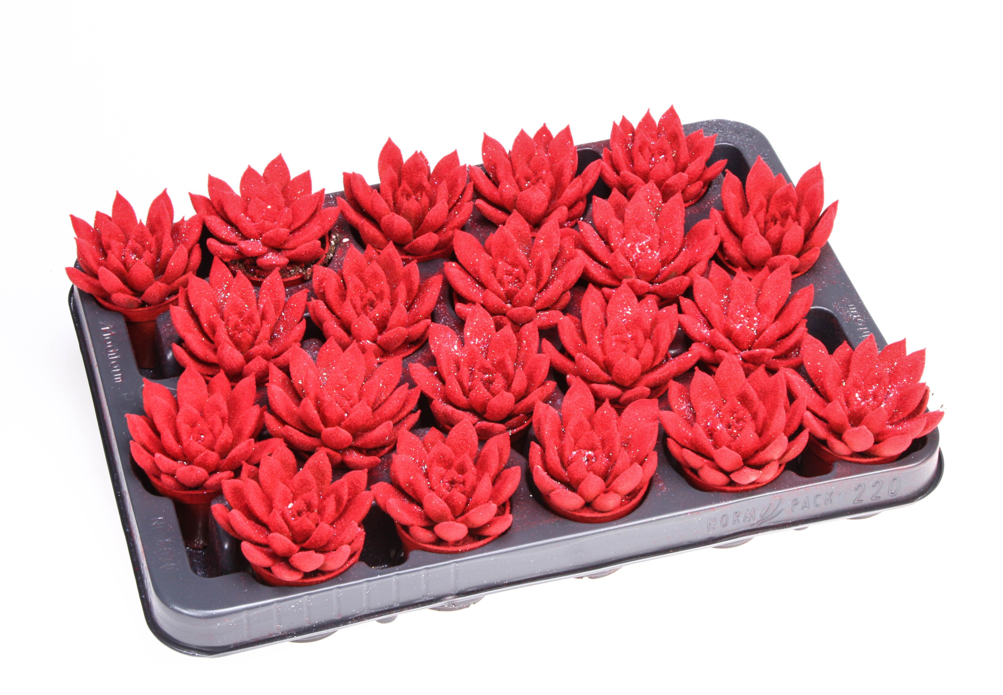 Velvet rood + glitter, D 5,5