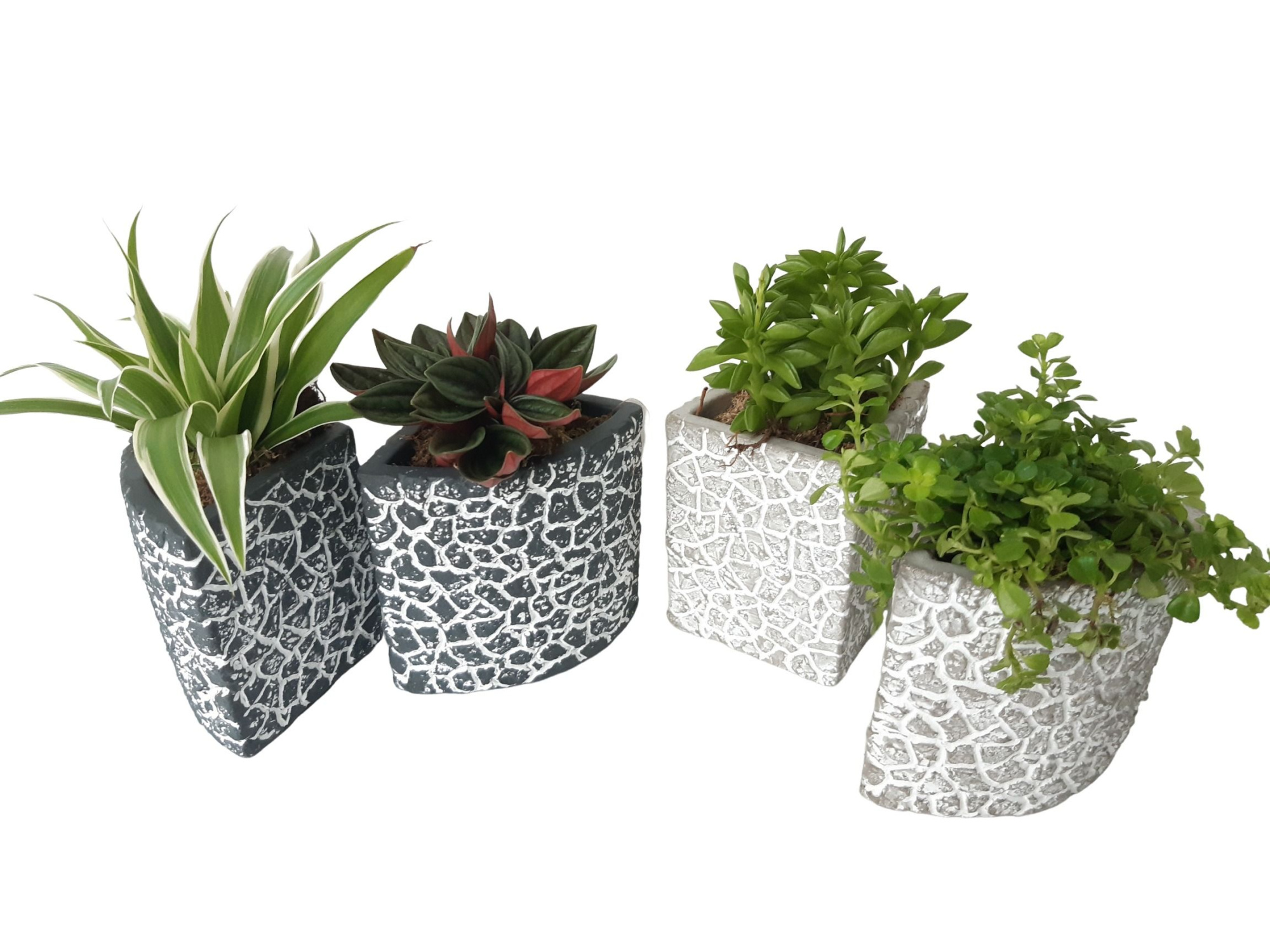 Puzzle Pots Medium Grey/White Mix, D 10