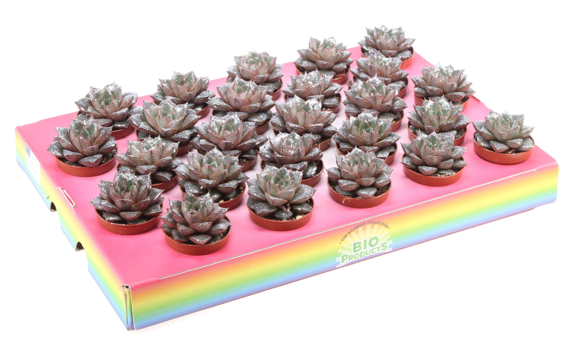 Bio purper naturel glitter, D 5,5