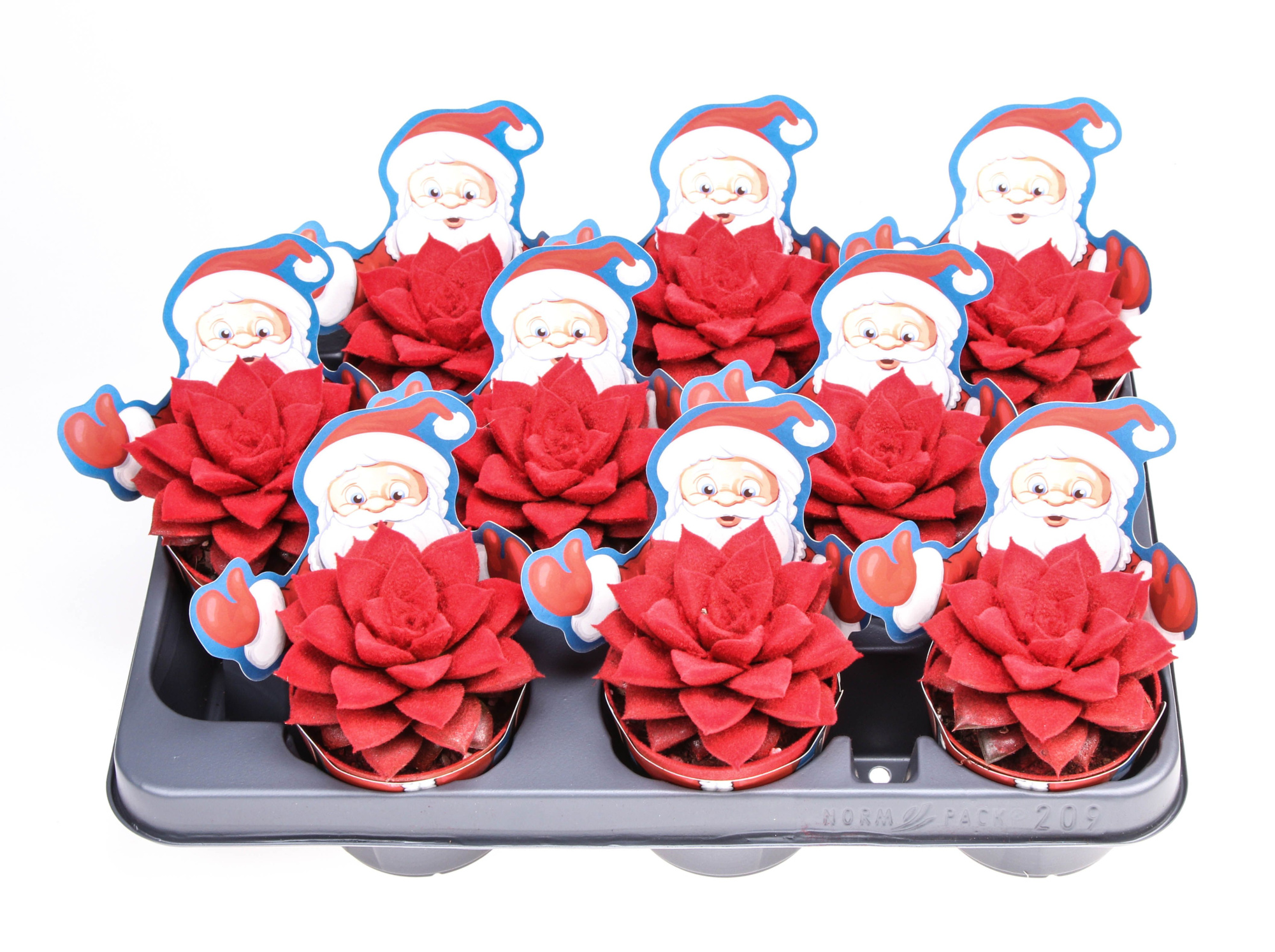 Potover santaclaus Purper velvet red, D 8,5