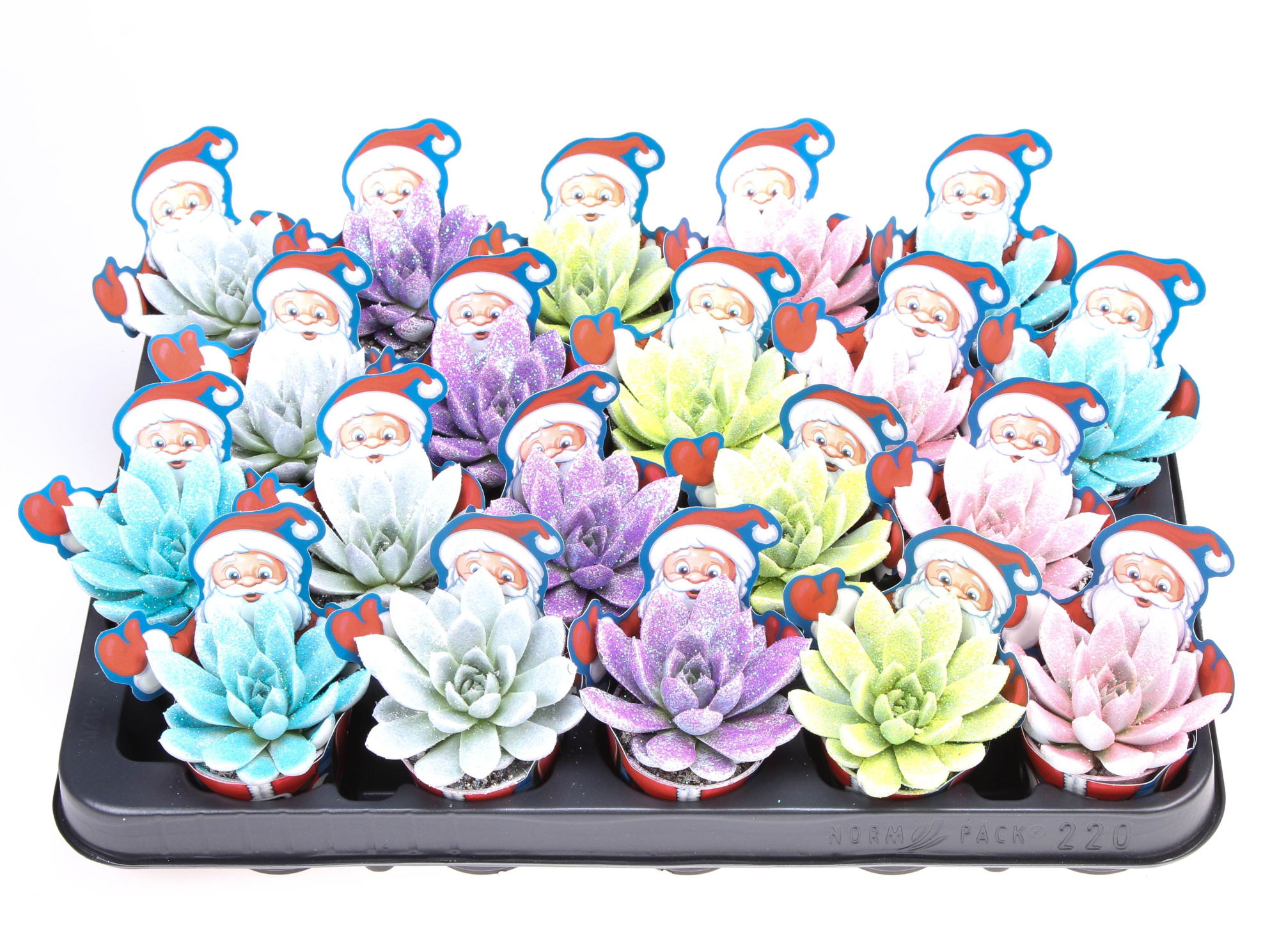 Potcover santaclaus wit + glittermix, D 5,5