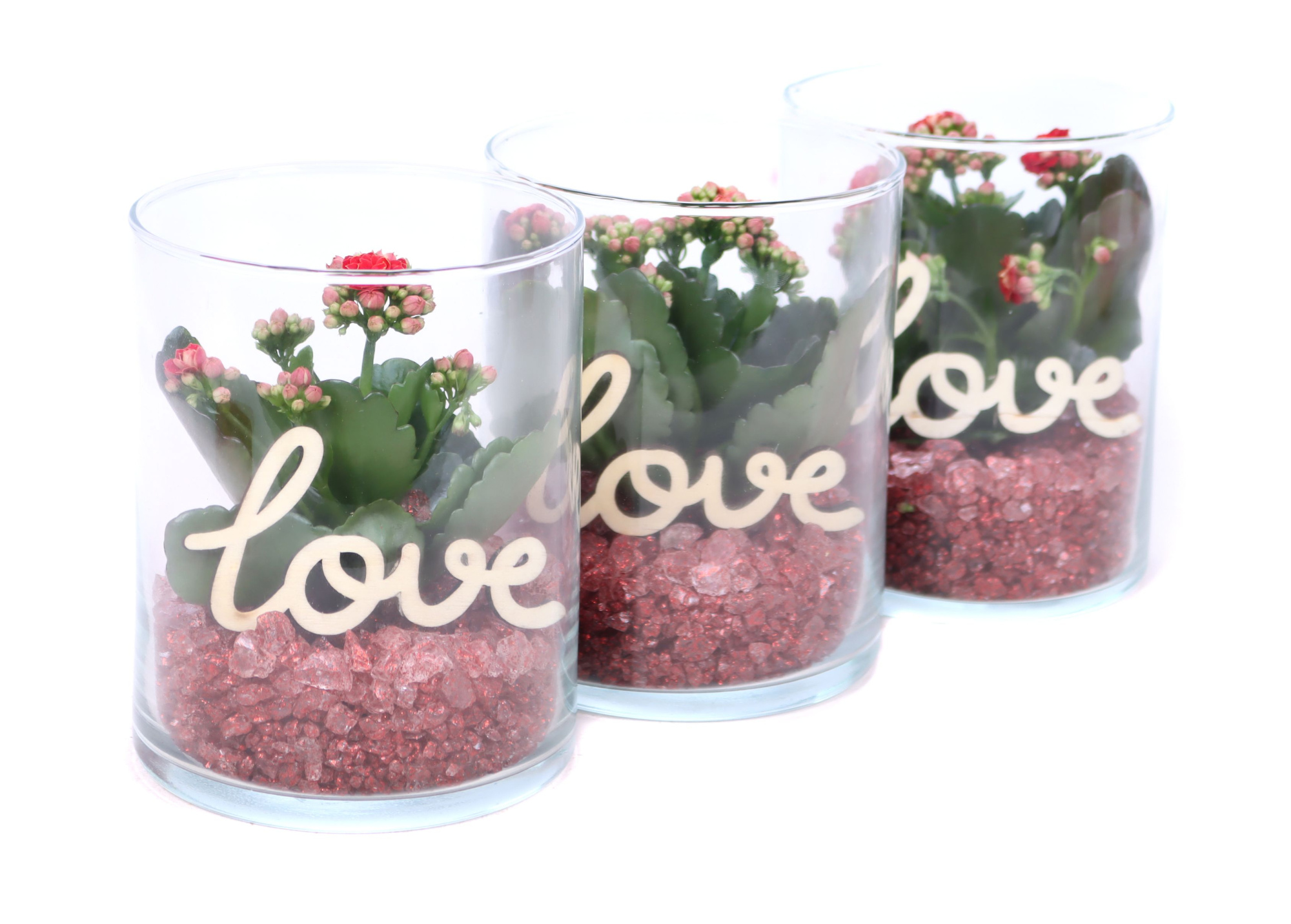 Opgemaakt cilinder glas met kalanchoe, rode steentjes en bijst., D 11