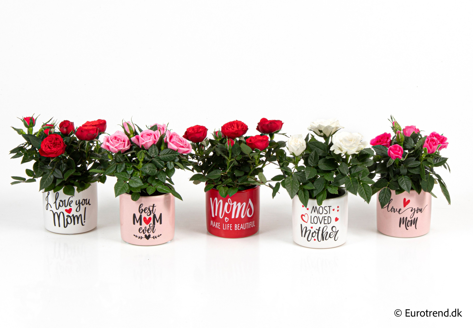 Roses in Valentine ceramic 2026, D 6