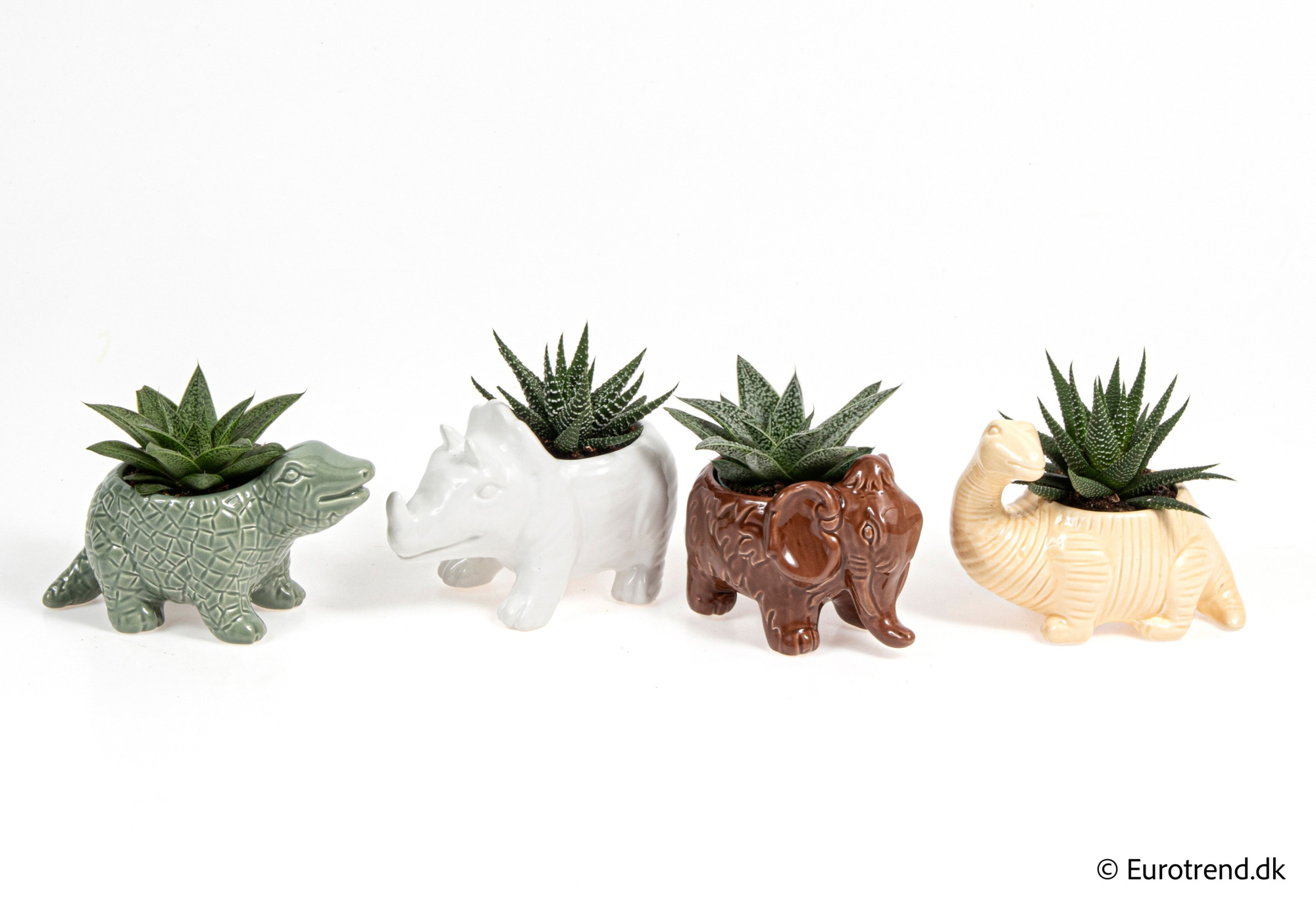 Succulent Mix in New Look ceramic 2026, D 6