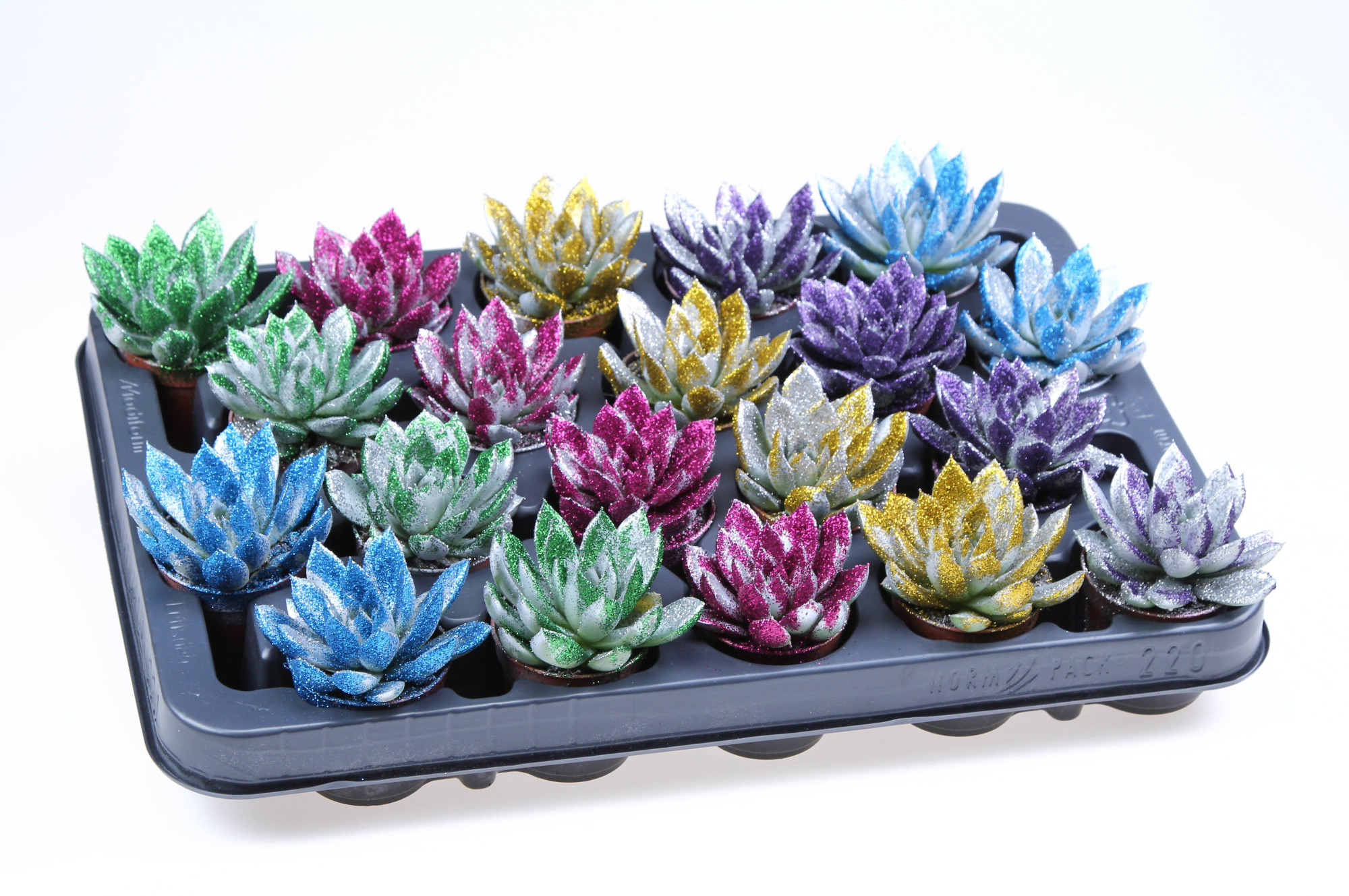 Miranda zilver + MIX bioglitter, D 5,5