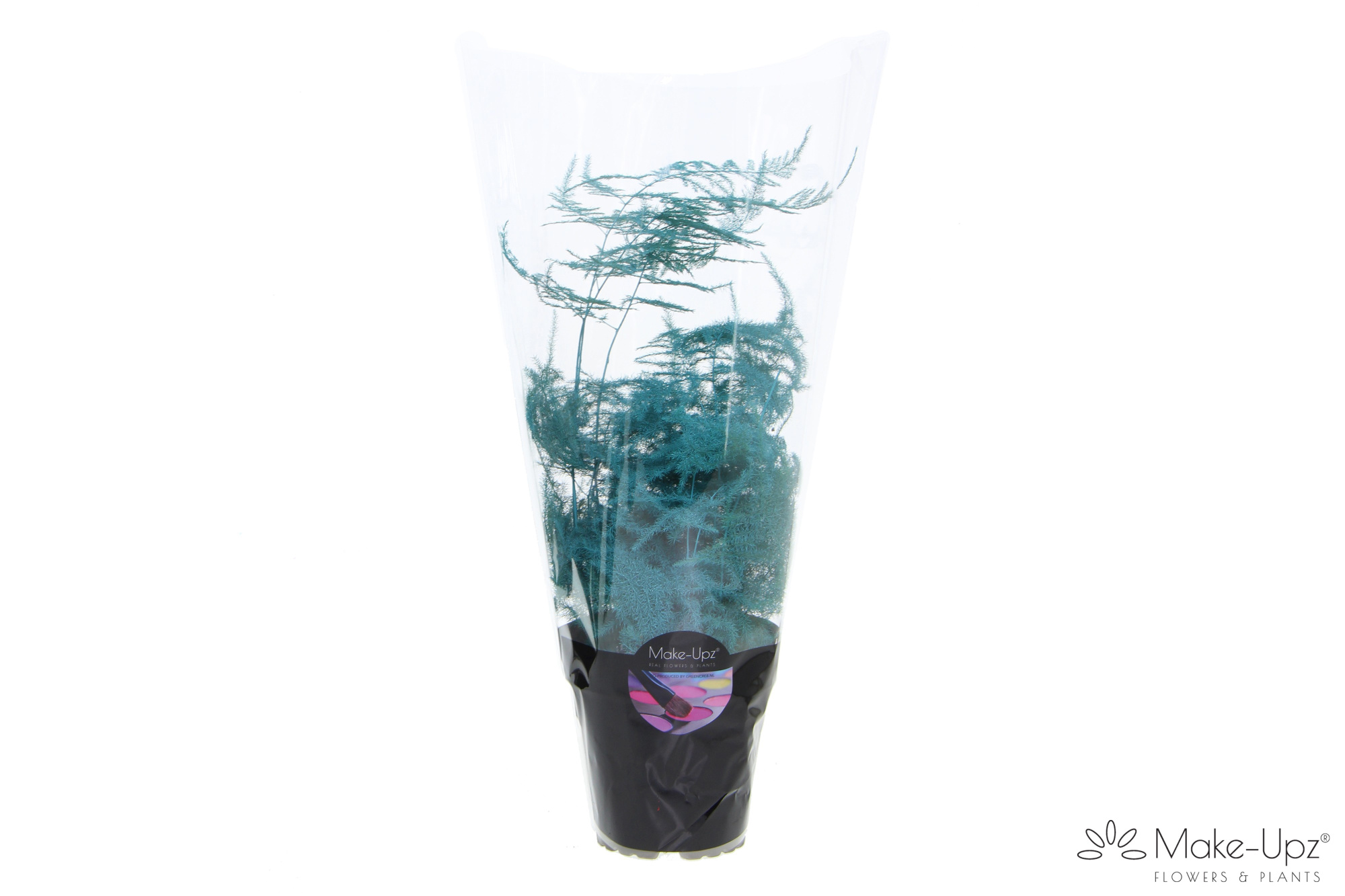 Asp Make-Upz Aqua, D 12
