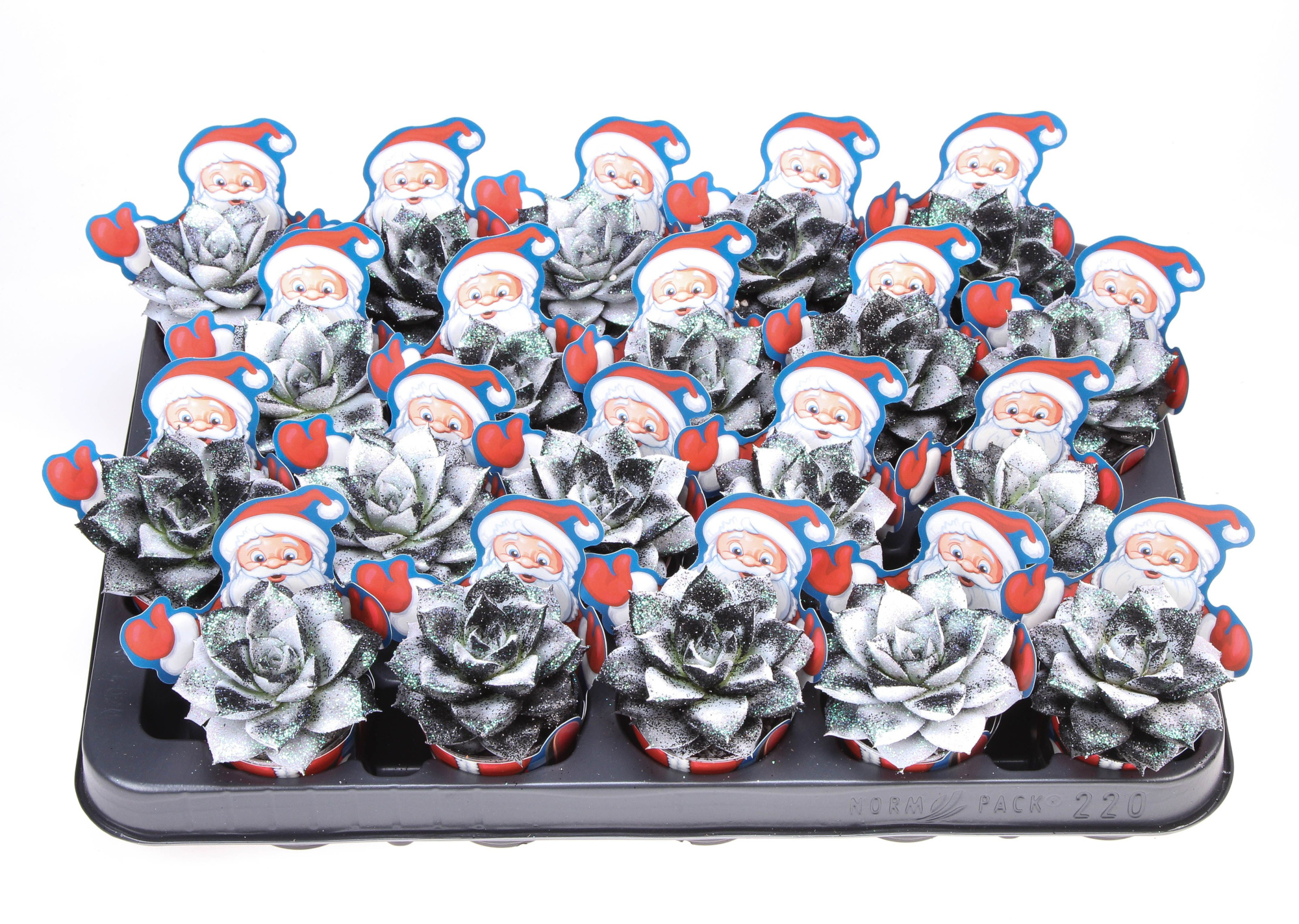 Potcover santaclaus purper Black&white + bio glitter, D 5,5