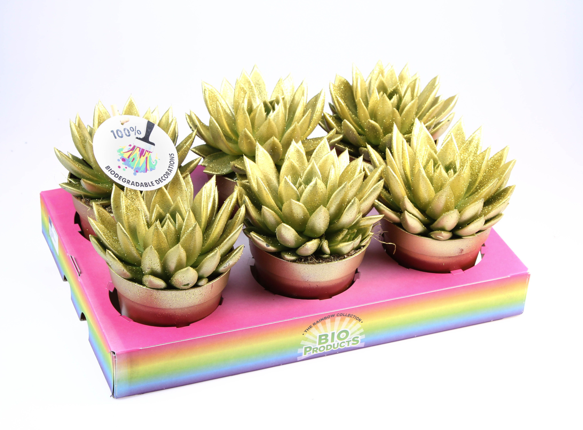 Bio miranda gold glitter, D 12