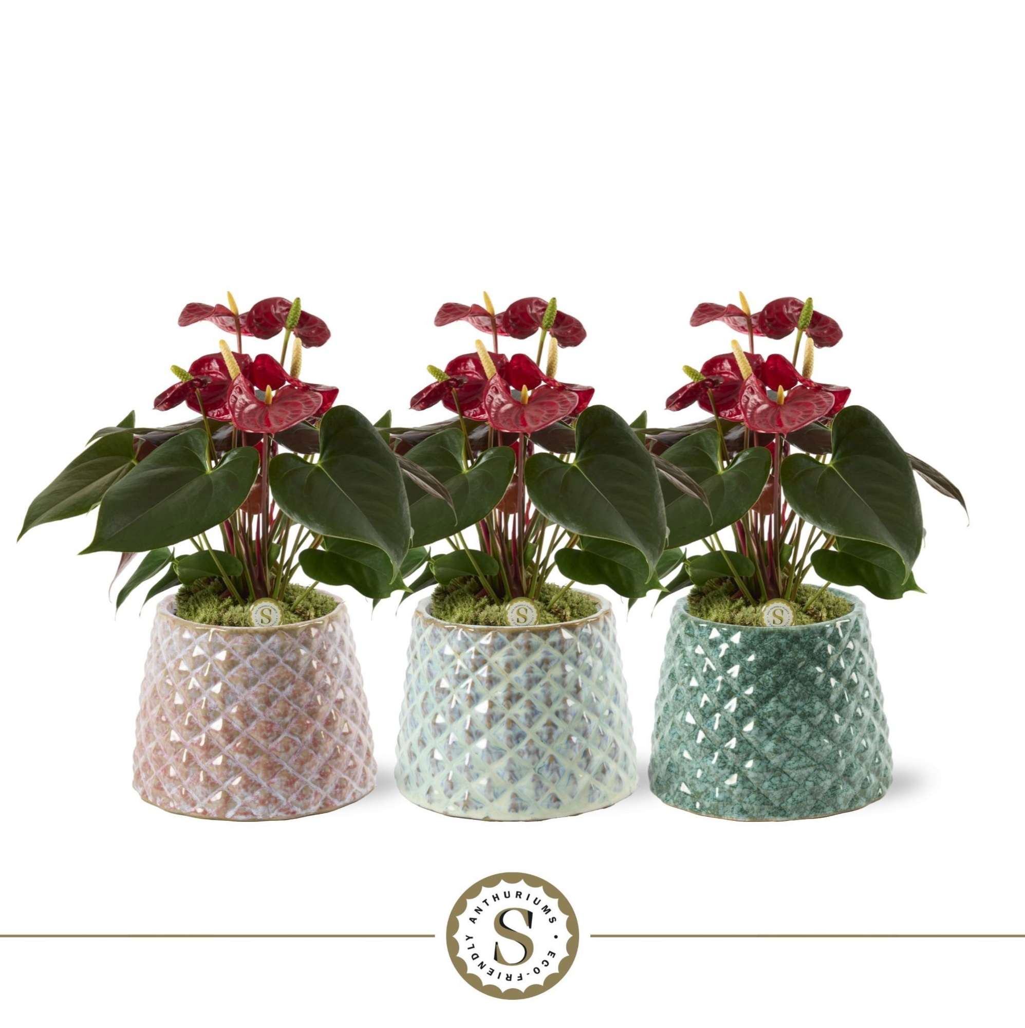 Florence Keramiek Coral, D 12