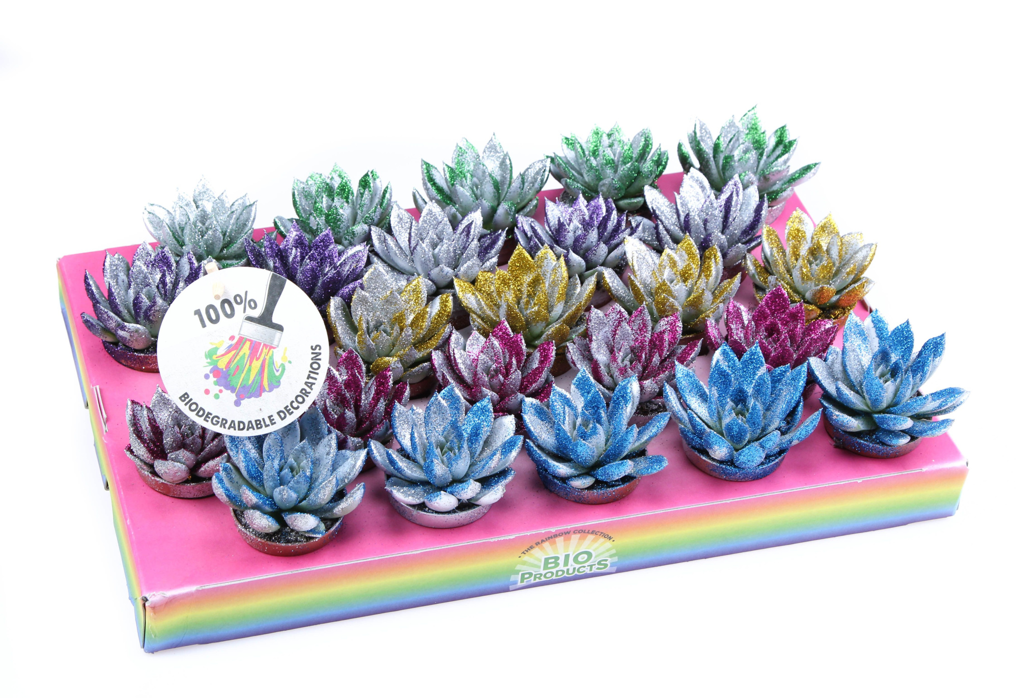 Bio Miranda zilver + mix glitter, D 5,5