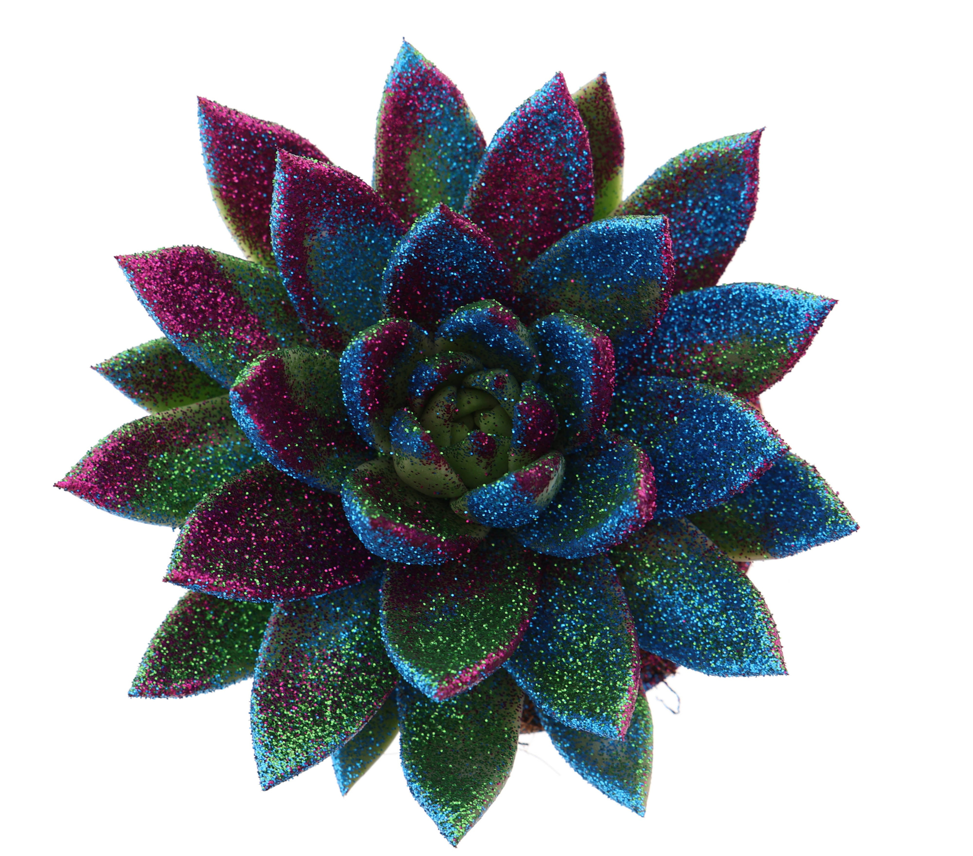 Miranda disco glitter, D 12