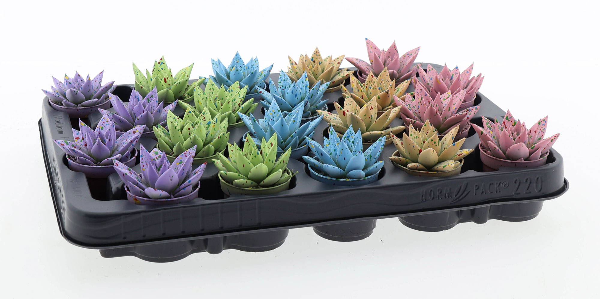 Easter sprinkle mix, D 5,5