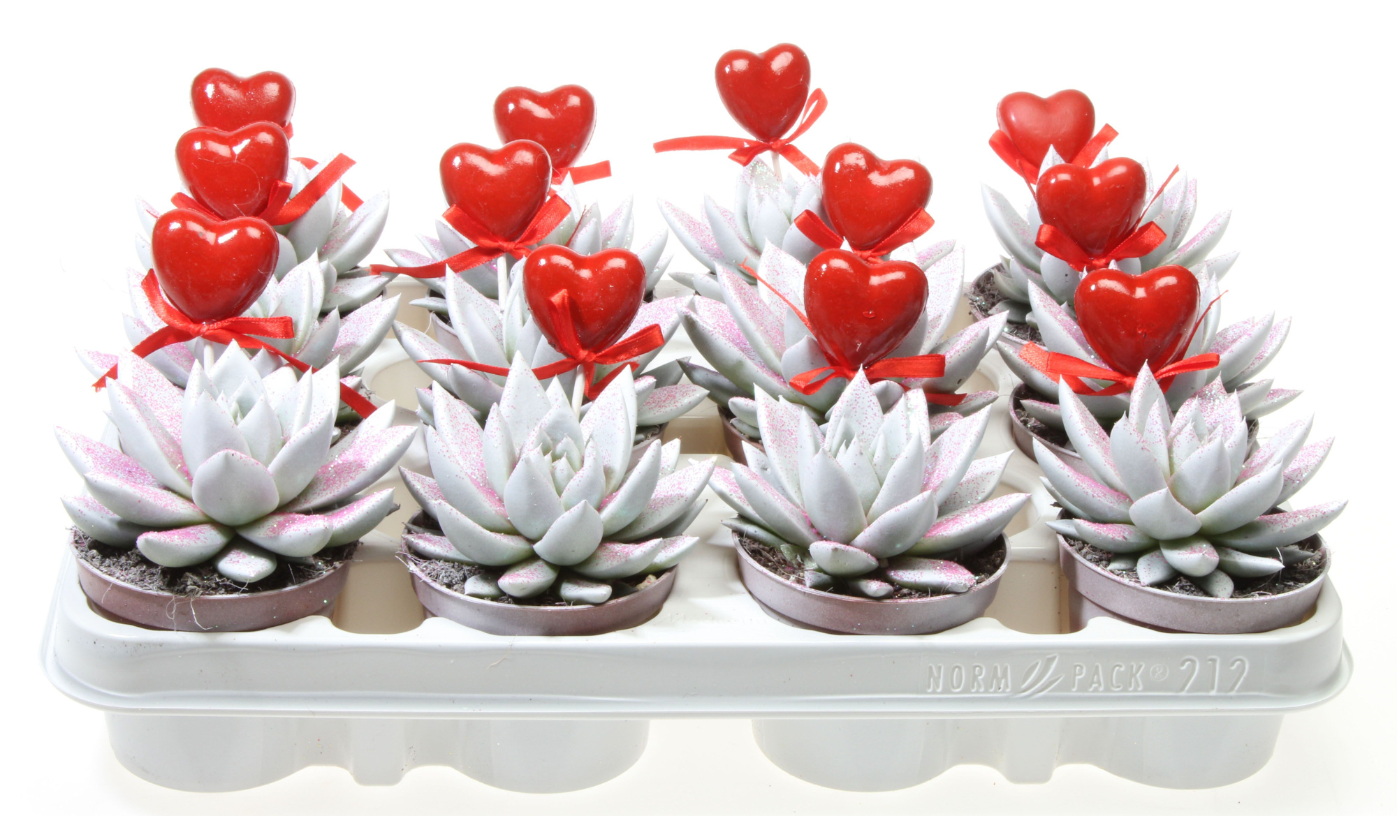 Miranda wit roze glitter + hartje, D 8,5