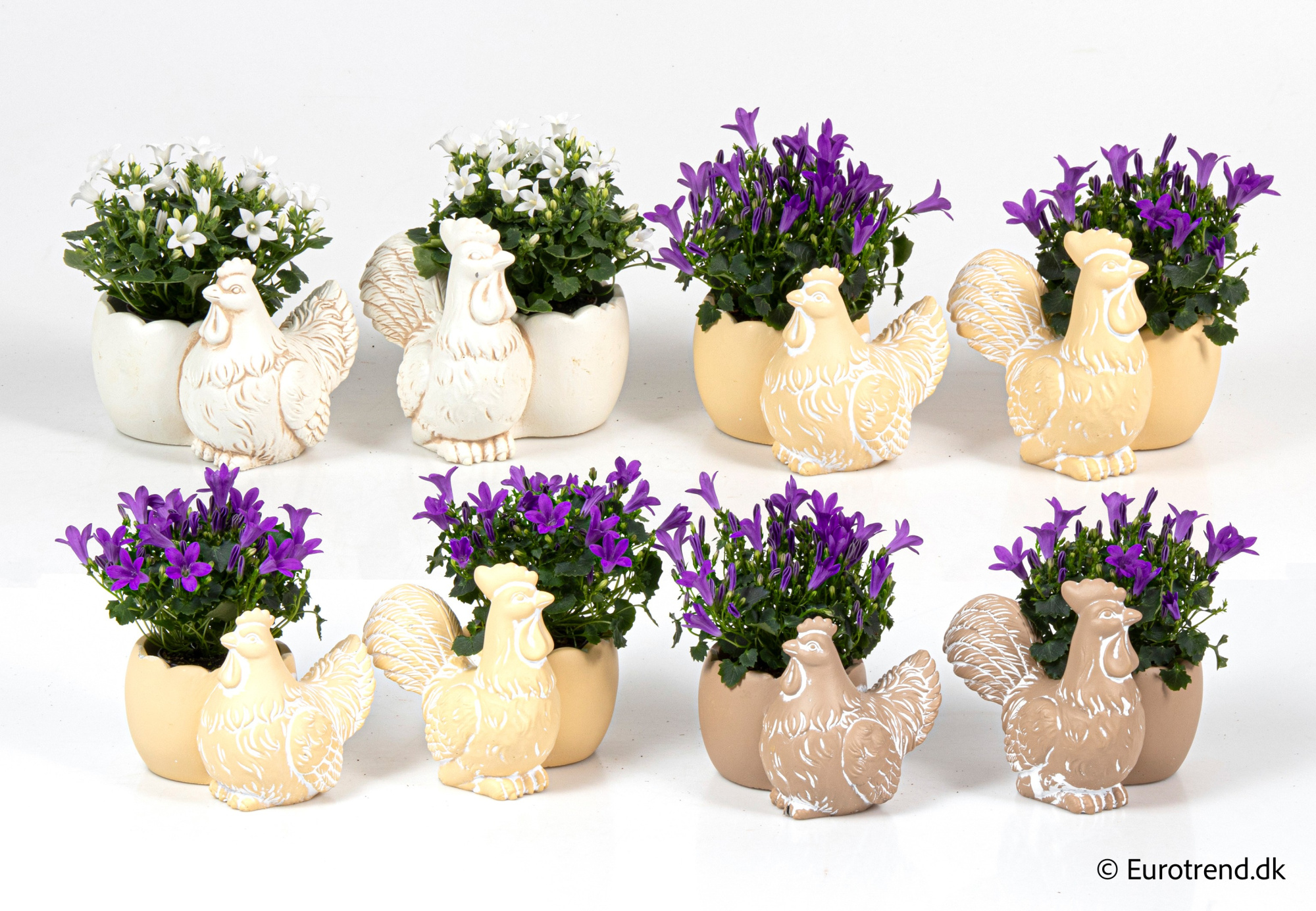 Campanula in Easter ceramic 2026, D 6