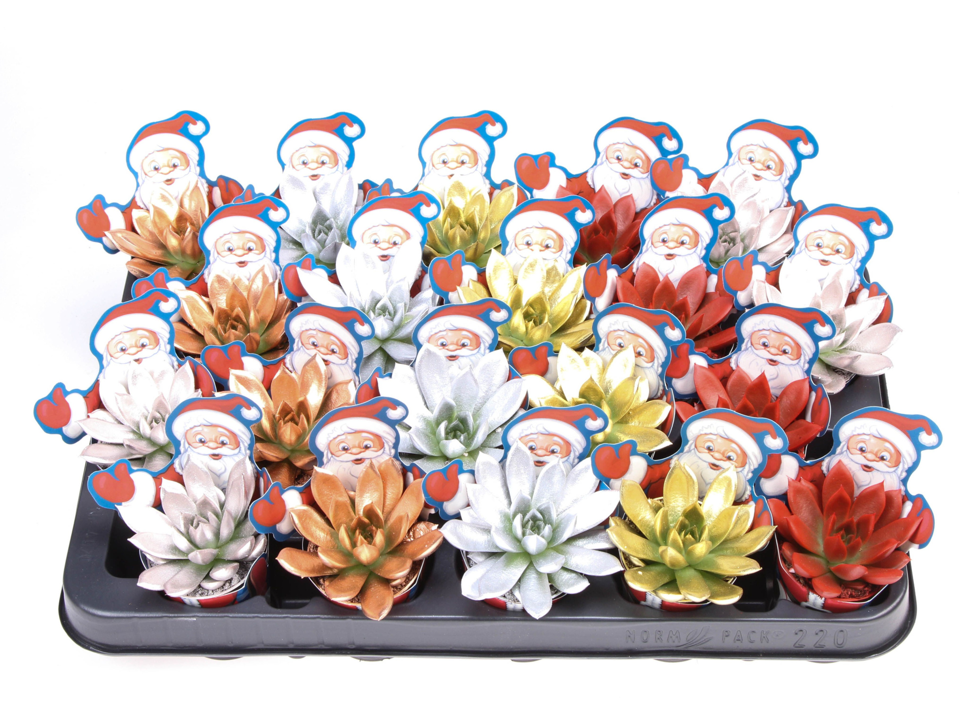 Potcover santaclaus miranda kerstmix, D 5,5