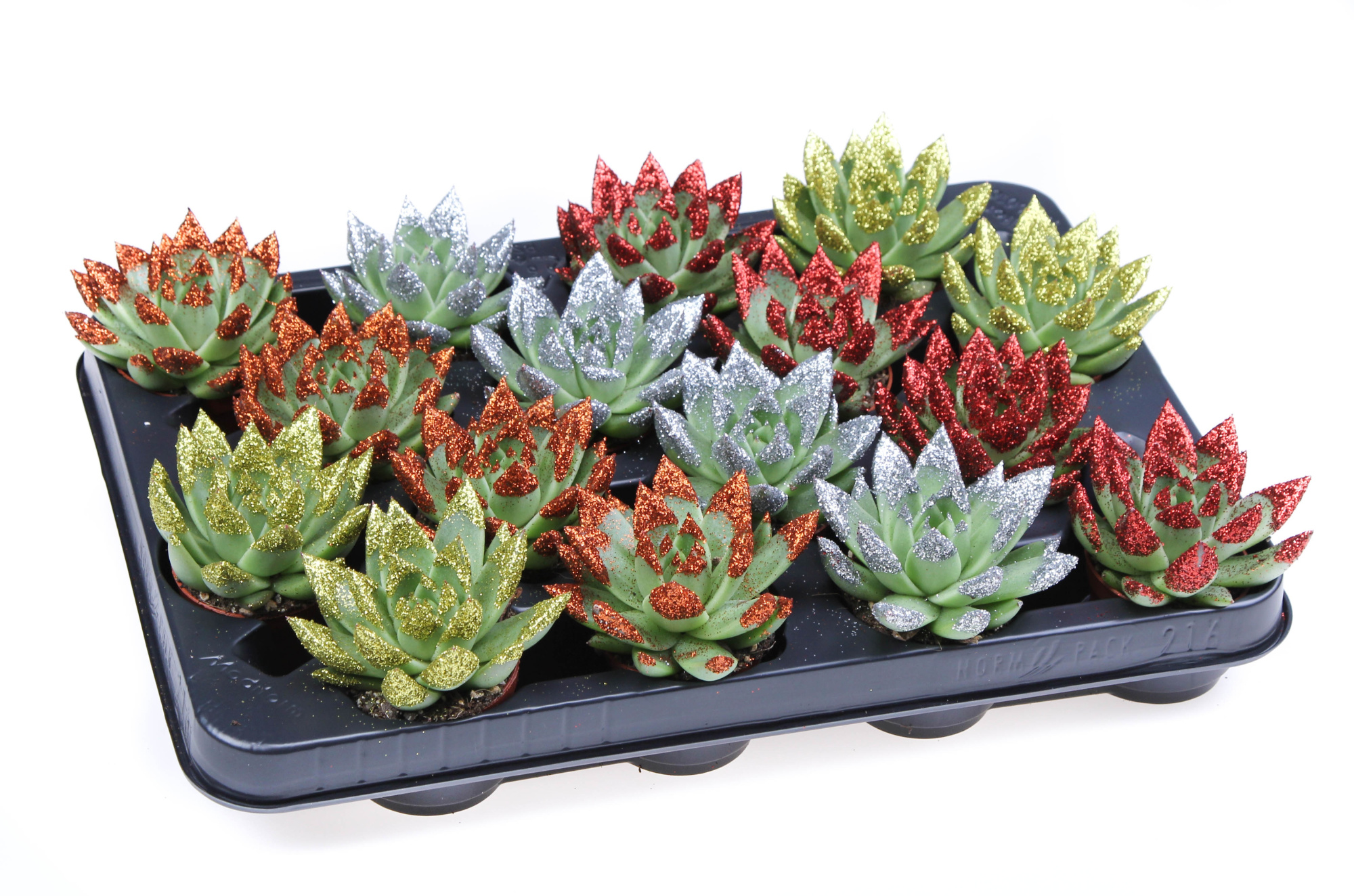 Miranda naturel + glittertips, D 6,5