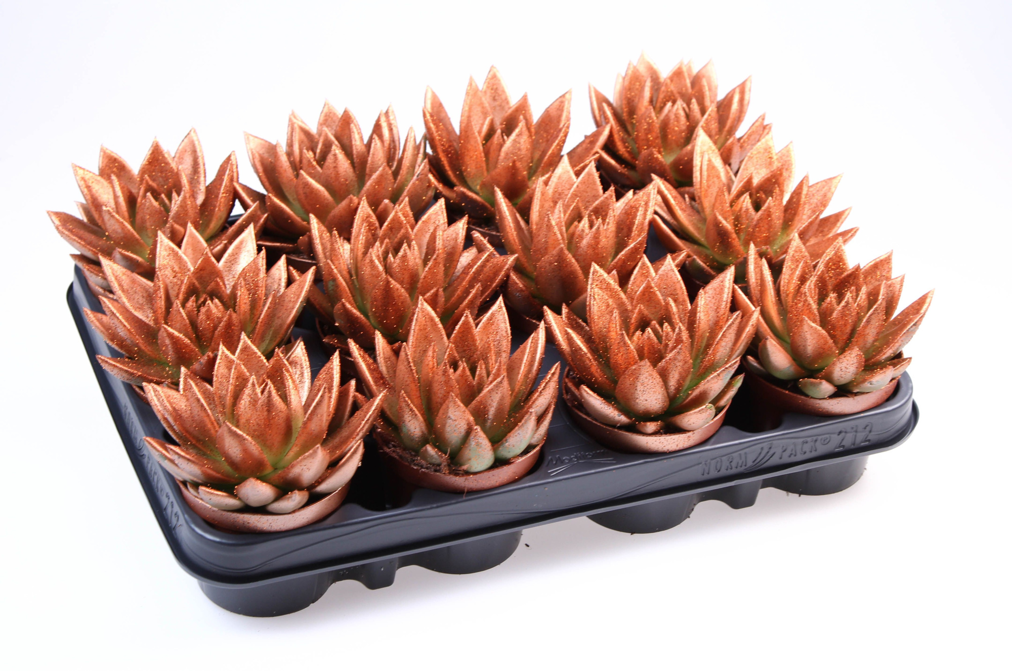 Miranda brons + bio glitter, D 8,5