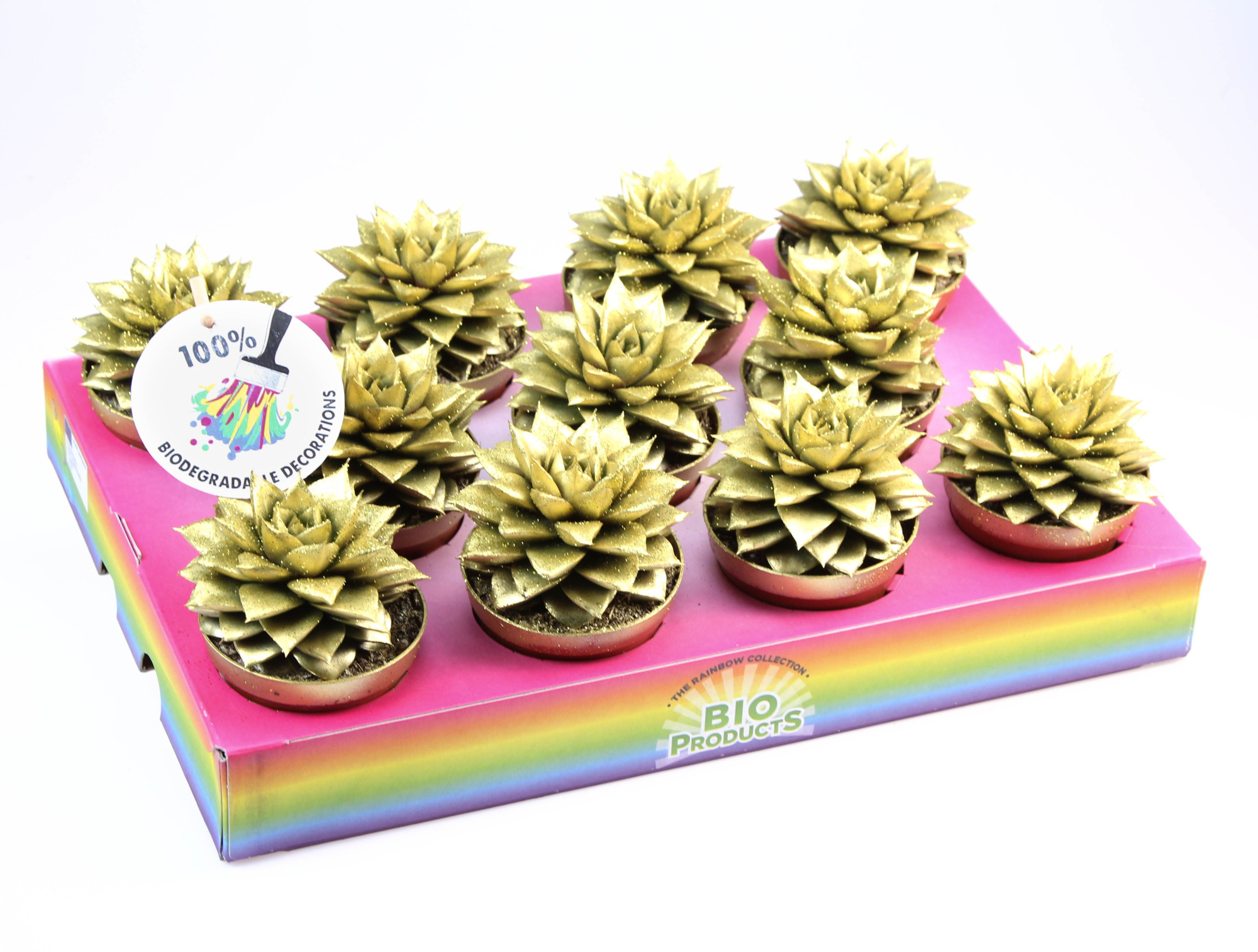 Bio purper gold glitter, D 8,5