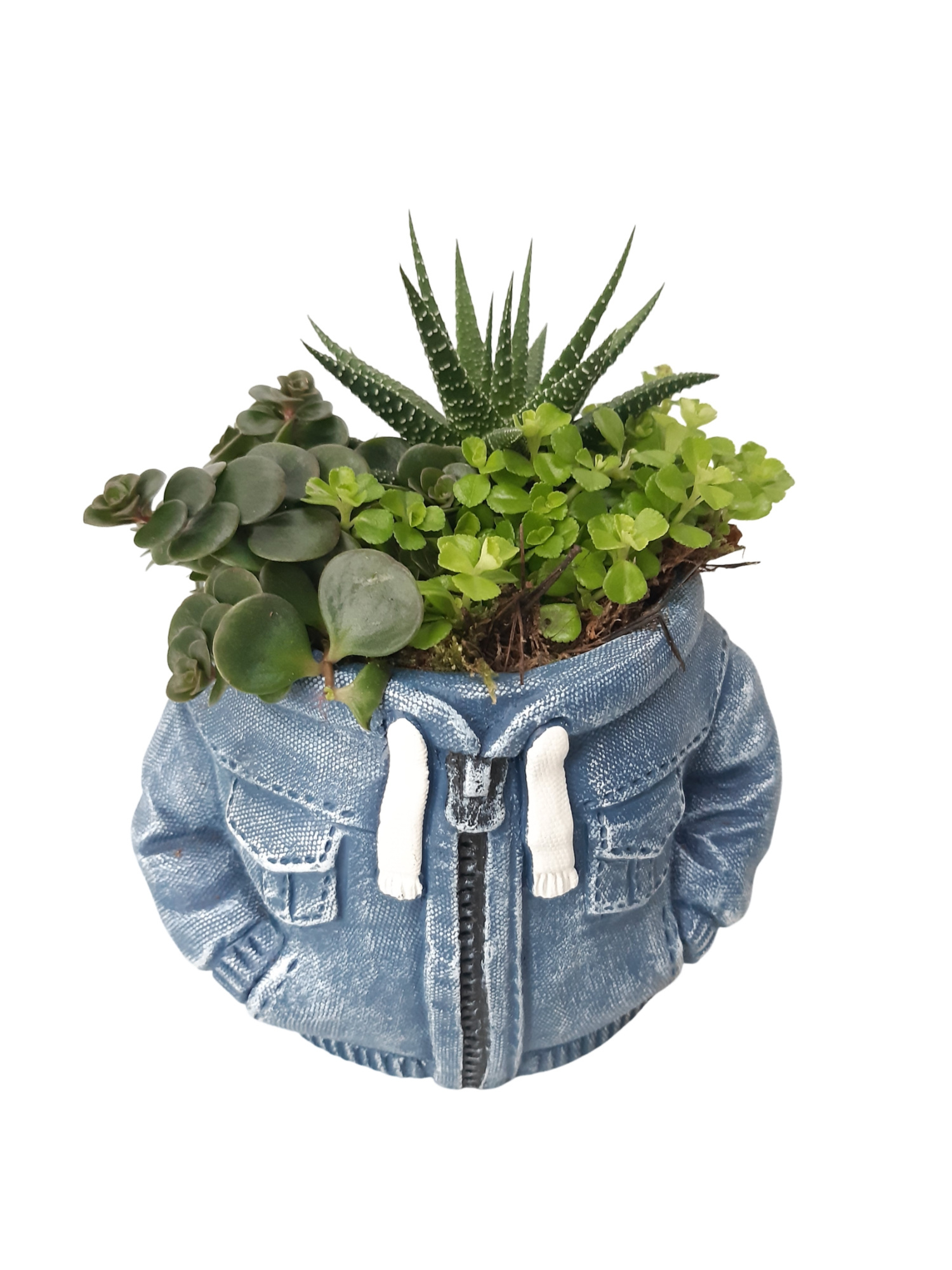 NEW 2026 JB14HD Jeans Hoodie 13cm Blue Mini plant mix, D 14