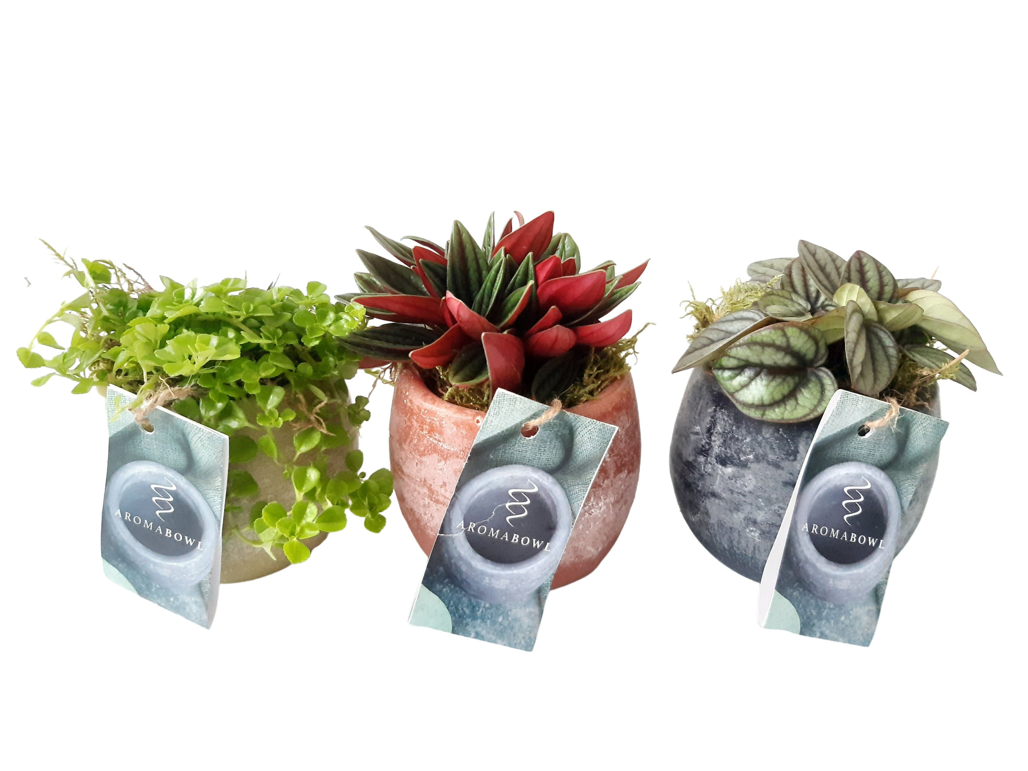 AB9MIX Aroma Bowl 9cm mini gr.mix. Musk, Amber, Jasmin, D 9