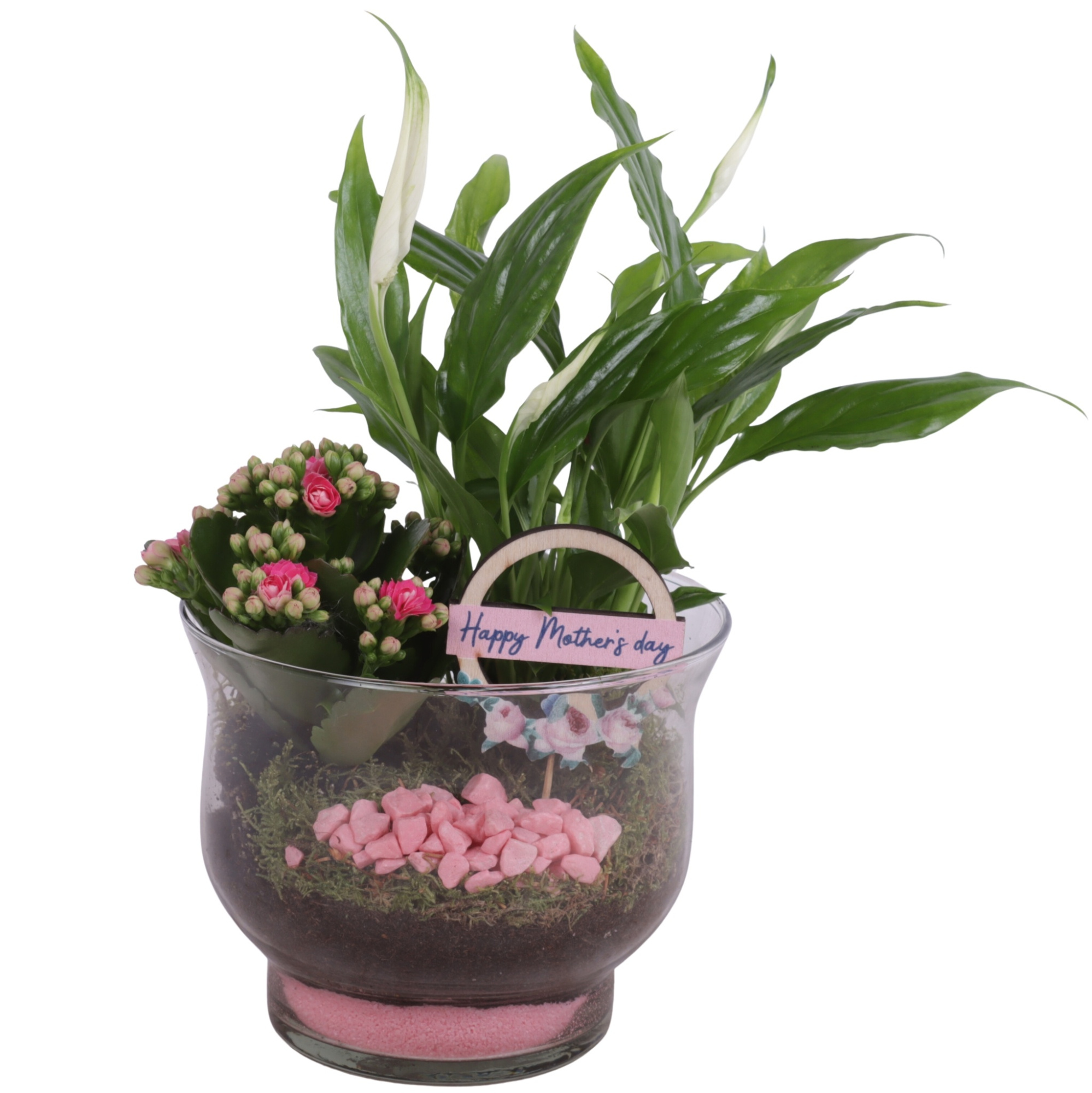 Mothersday Arr. Indoor Glass Tulip Vase Ø16cm 2PP, D 16