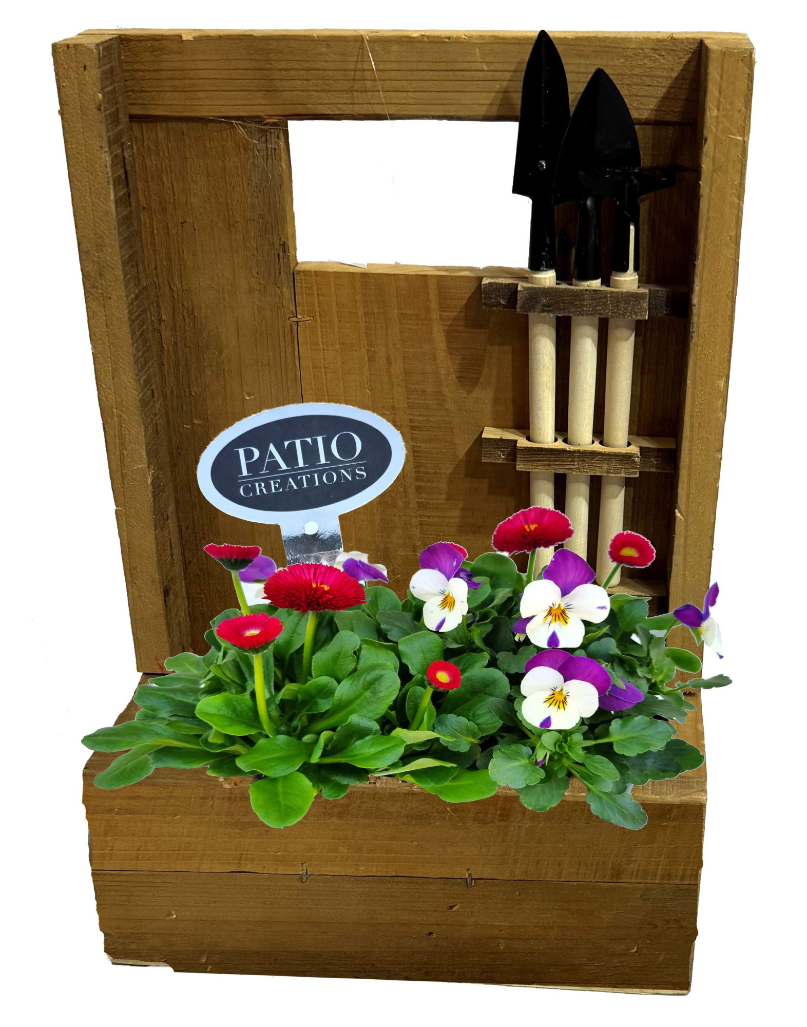 VB830-9001 Viola/Bellis Boaz tuinierset, D 21