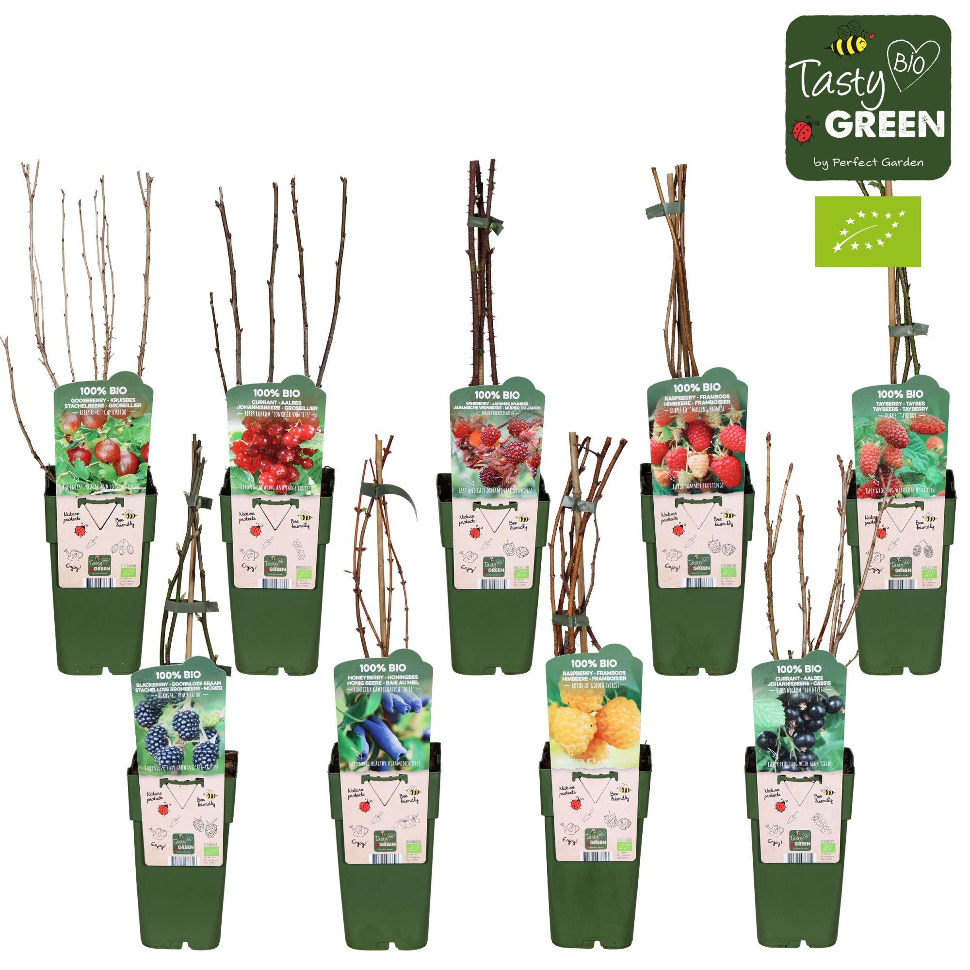 Fruit mix tray bio standaard P15, D 15