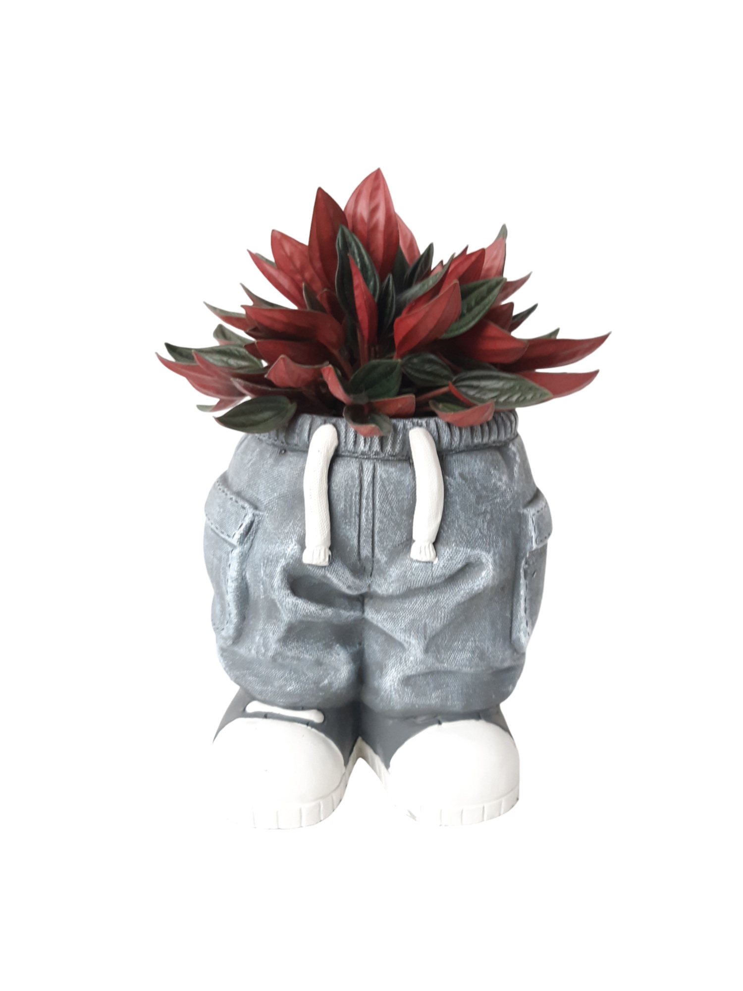 NEW 2026 JG17STD Jeans Standing 17cm Grey Peperomia Rosso, D 17