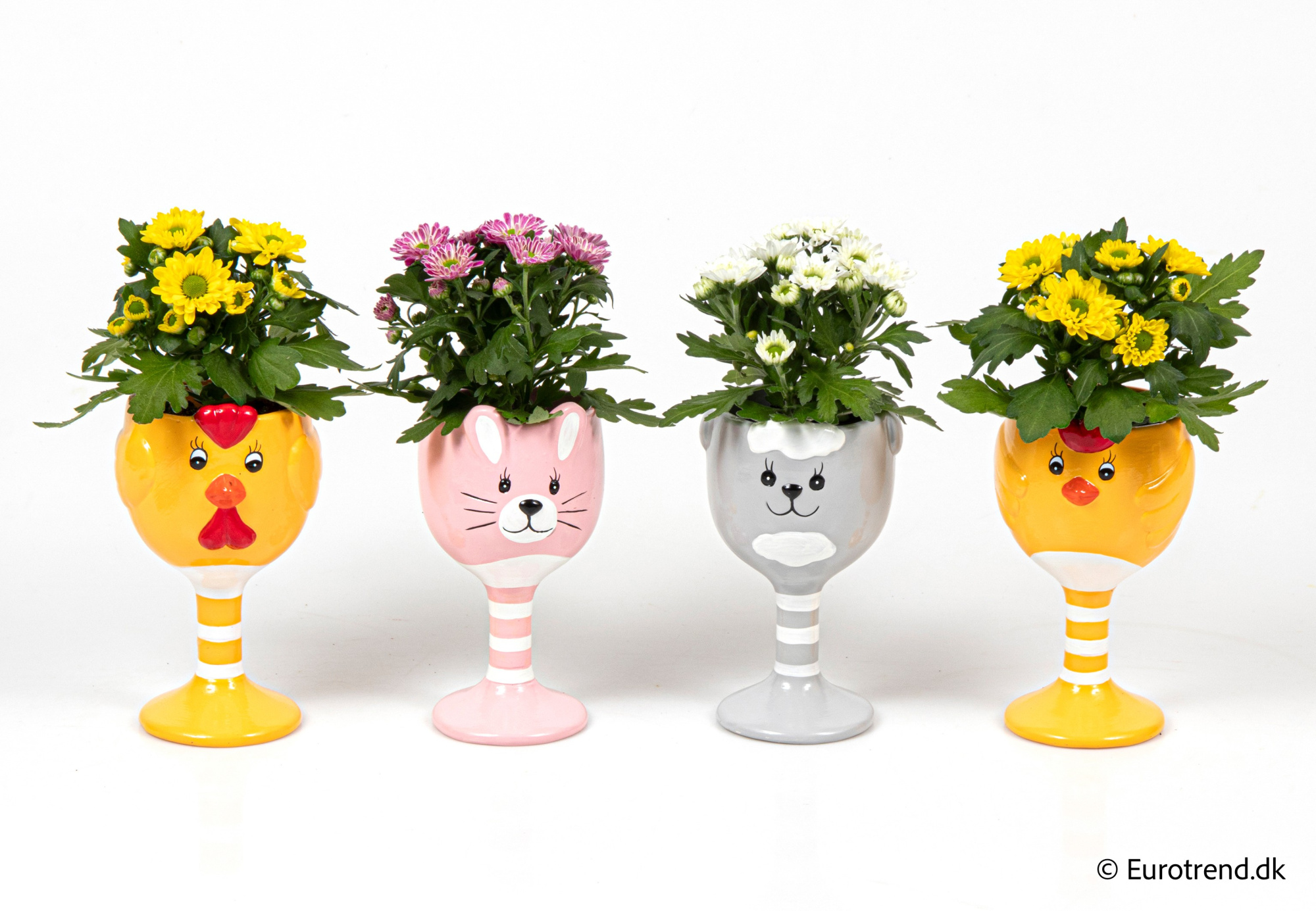 Chrysanthemum in Easter ceramic 2026, D 6