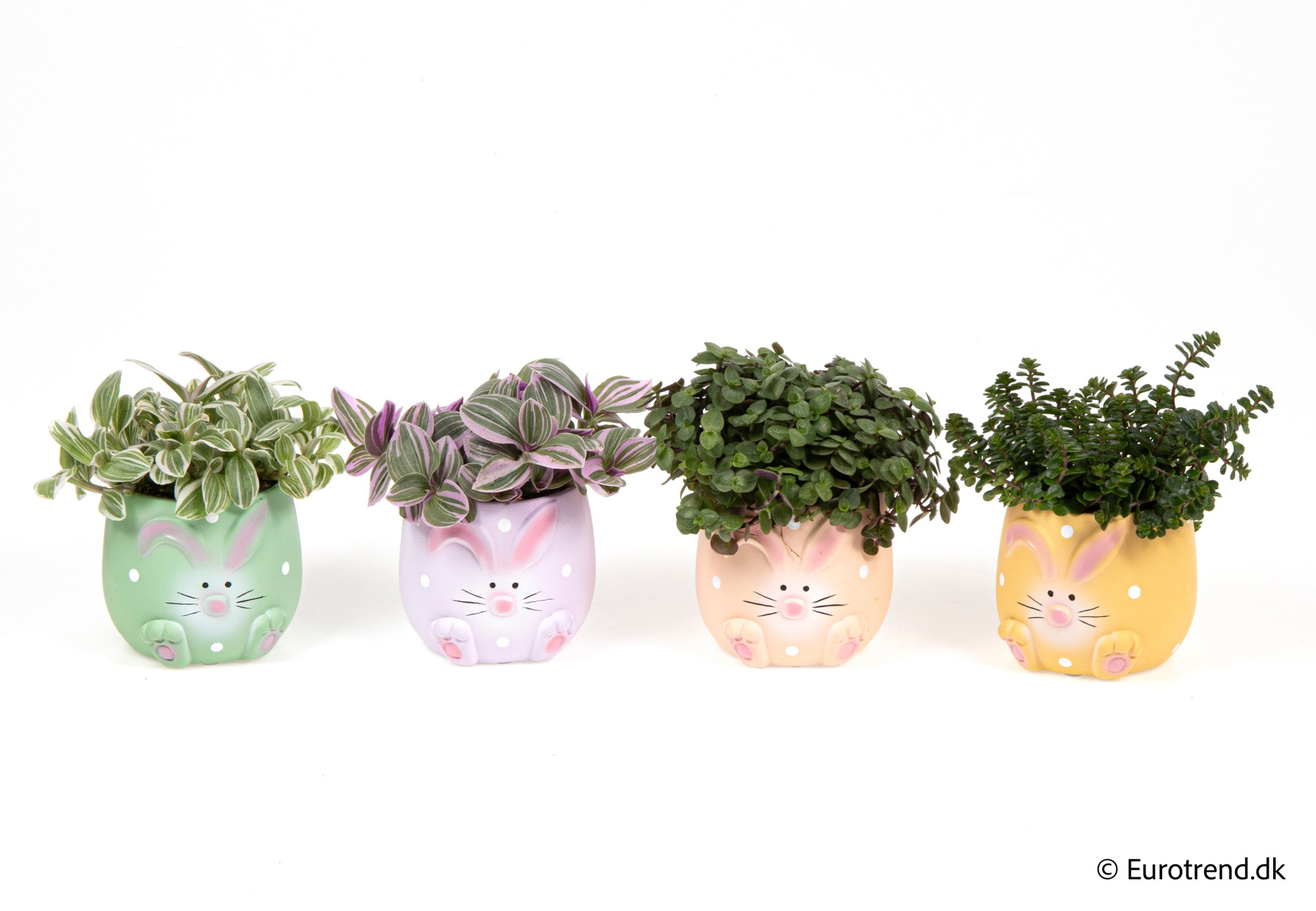 Greenmix in Easter ceramic 2026, D 6