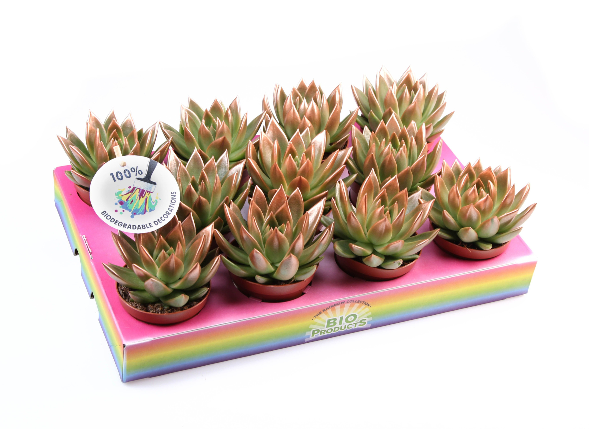 Miranda bronze tips, D 8,5