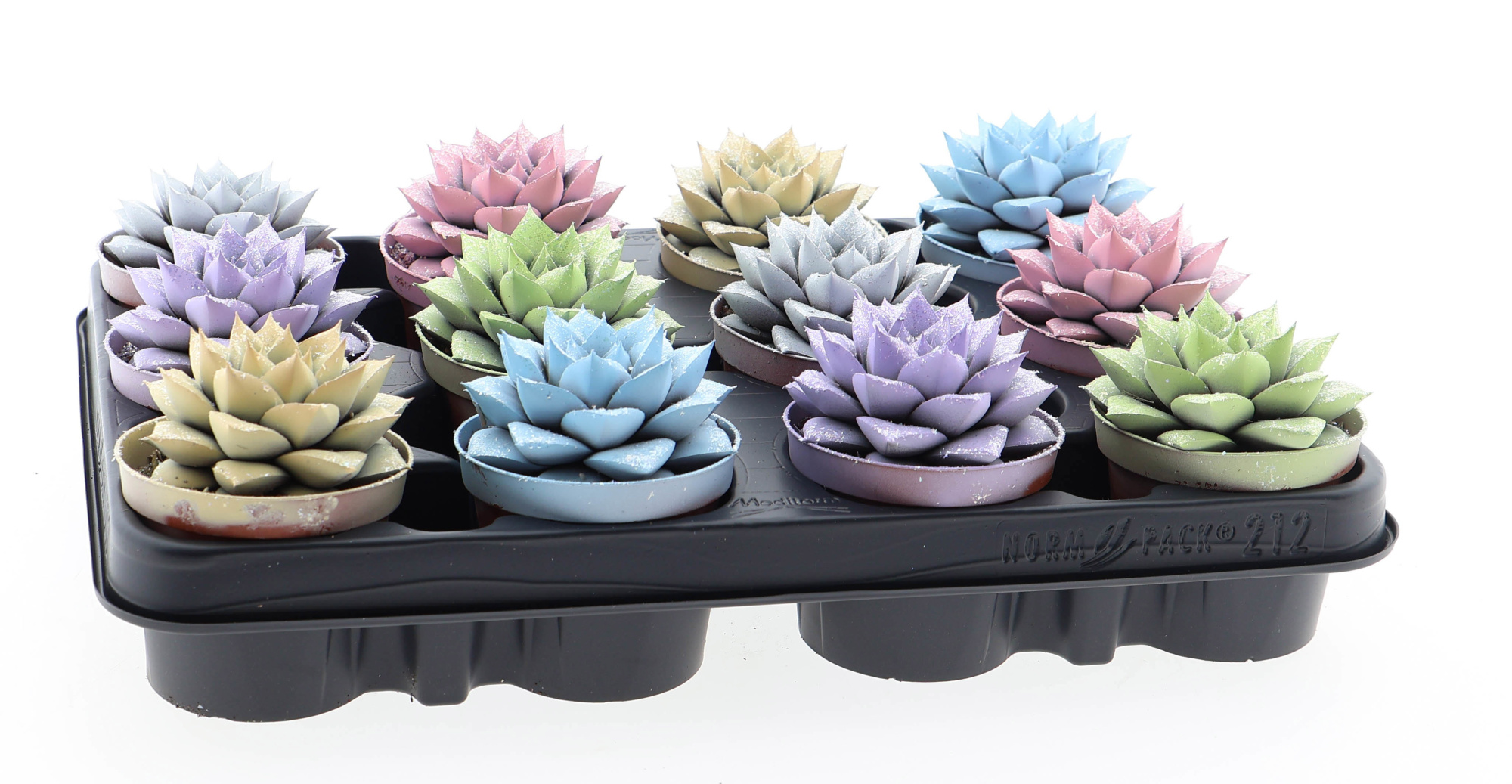 Purper pastel glittermix, D 8,5