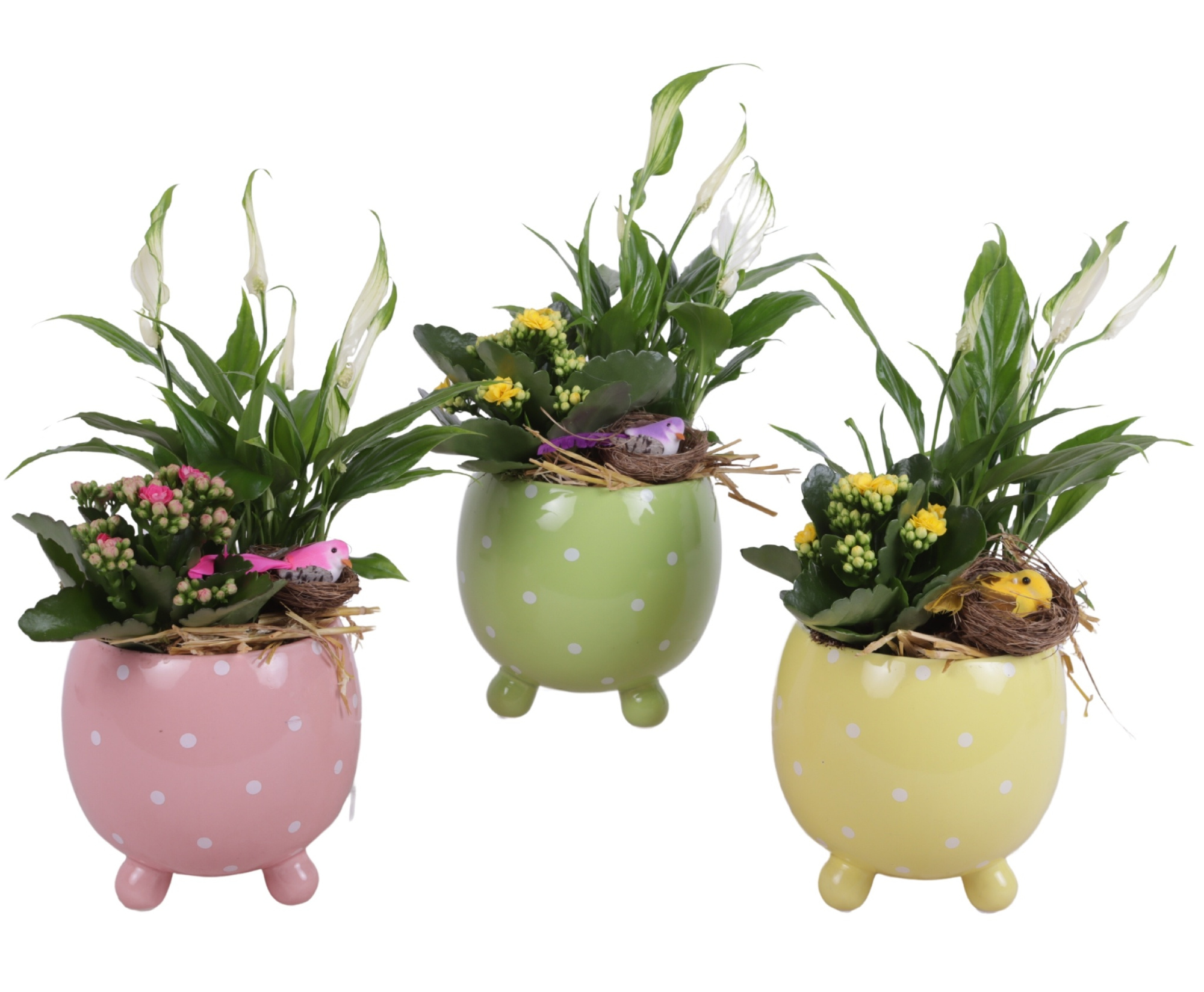Easter Arr. Indoor Ceramic Ball Pot Dots Ø14cm 2PP, D 14